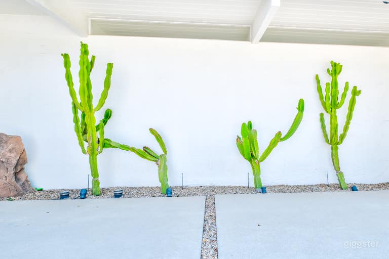  Stunning Midcentury Compound! Amazing Yard + Pool! 