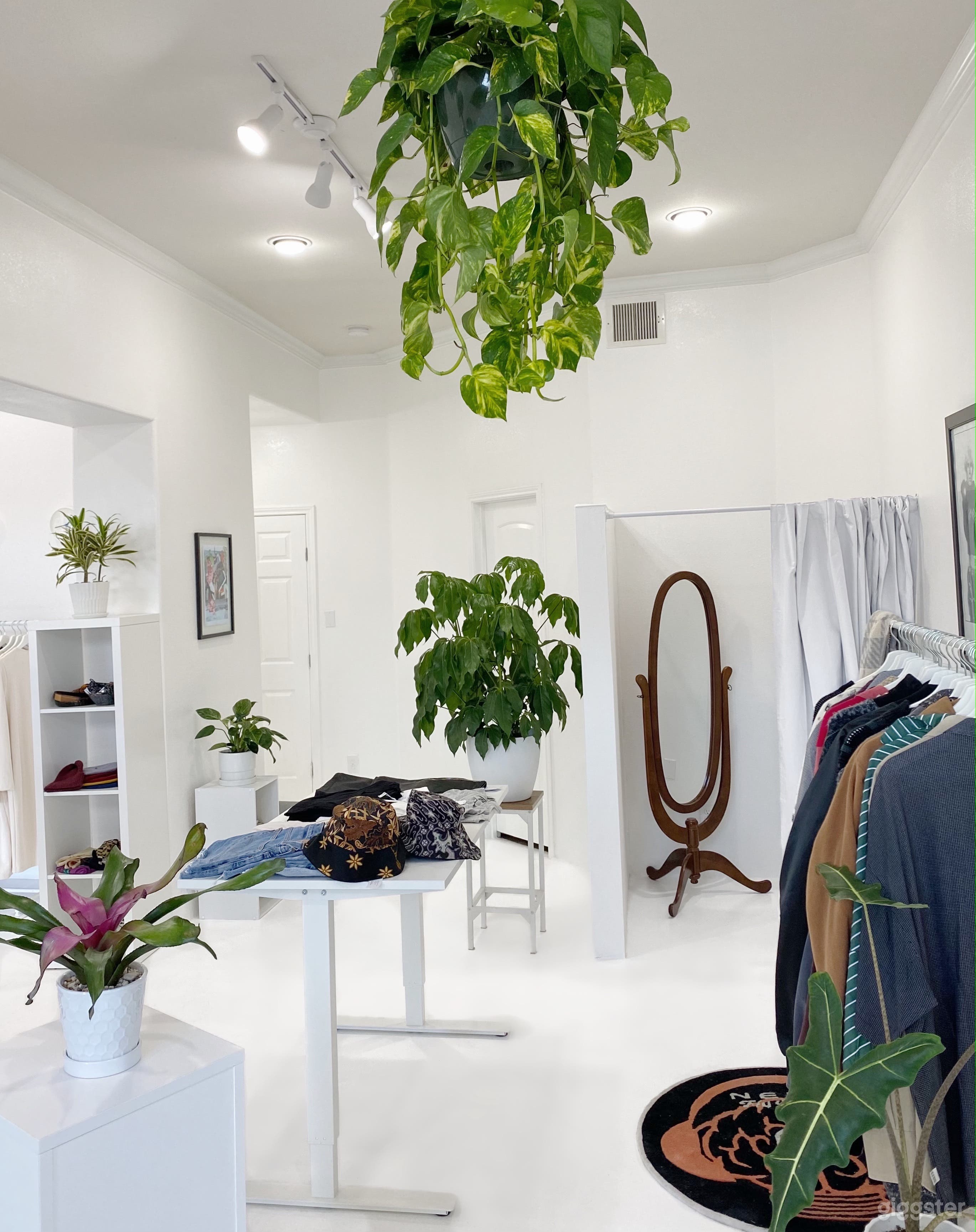 Newly Renovated & Vibrant Midtown Studio  Photo 4