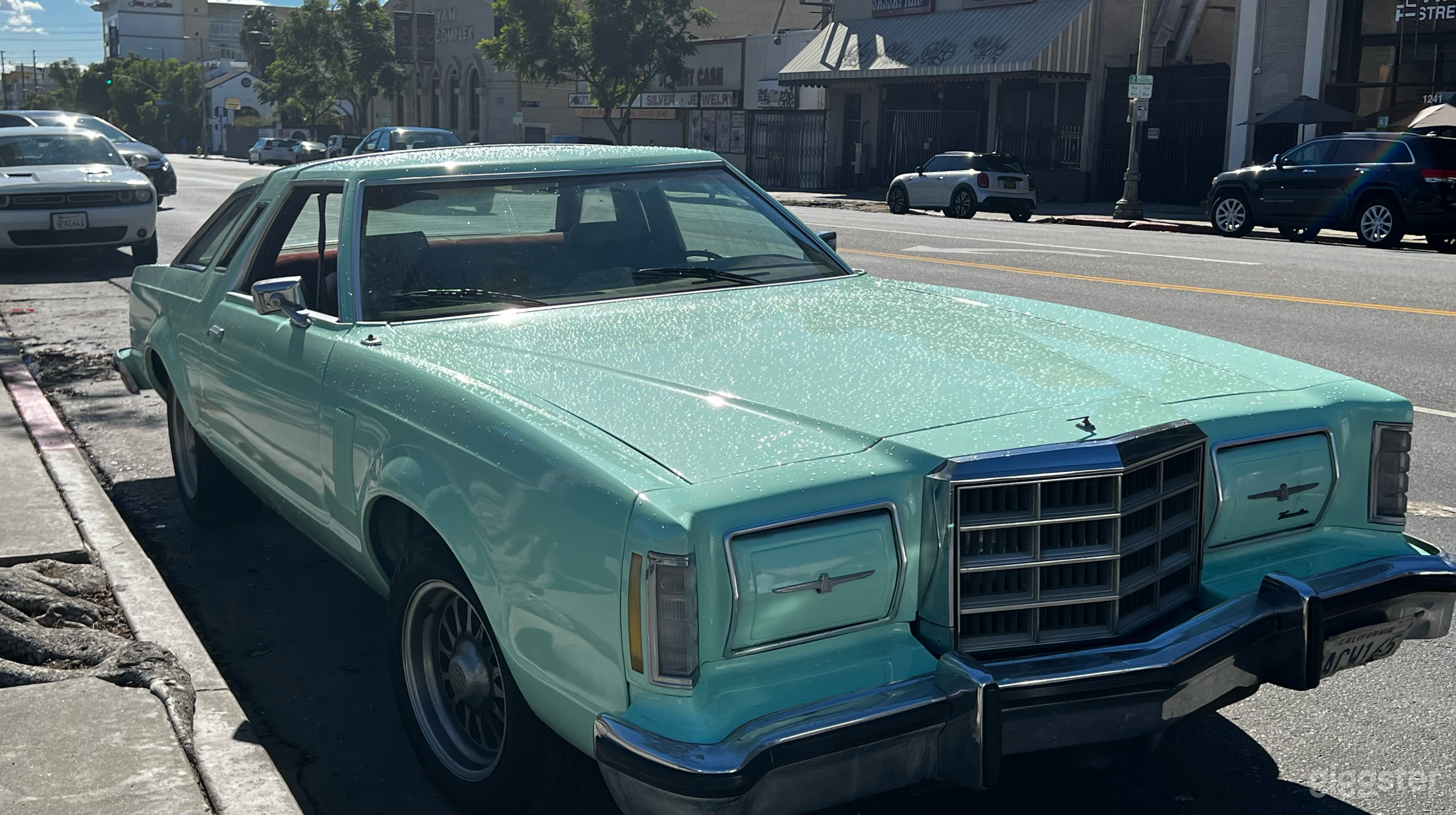 1979 Mint Money Green Ford Thunderbird Classic Photo 4