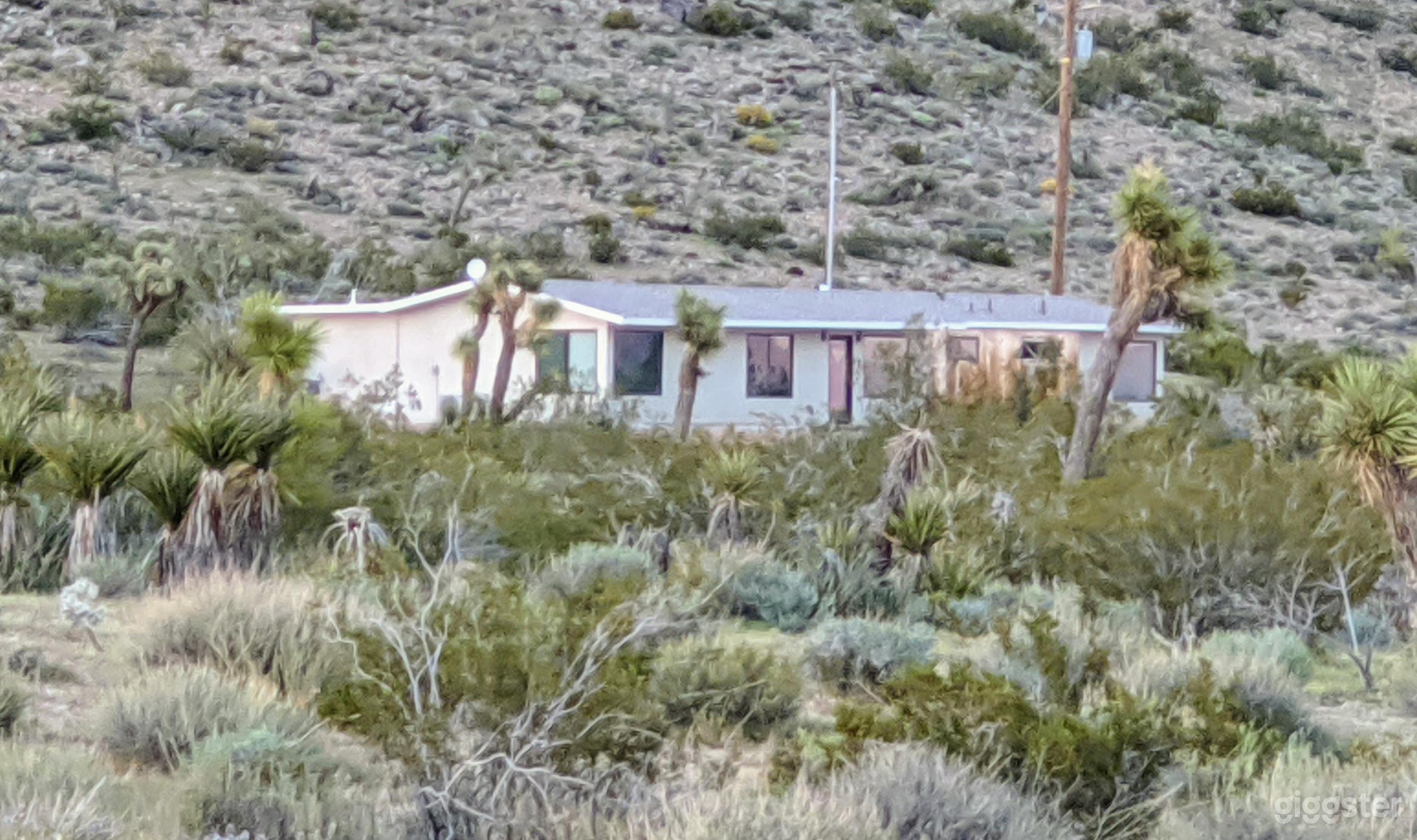 Mid-Century Mecca in the Desert Photo 4