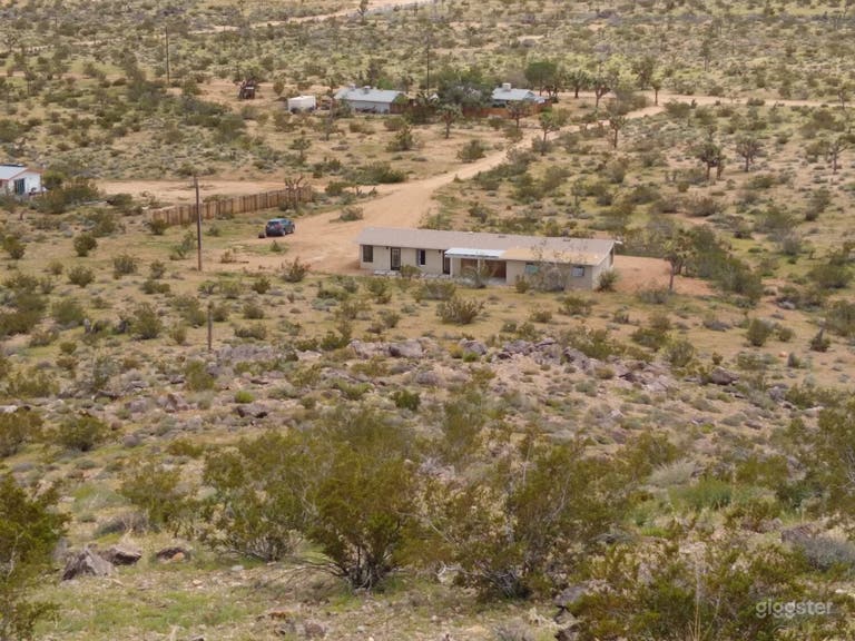  Mid-Century Mecca in the Desert 