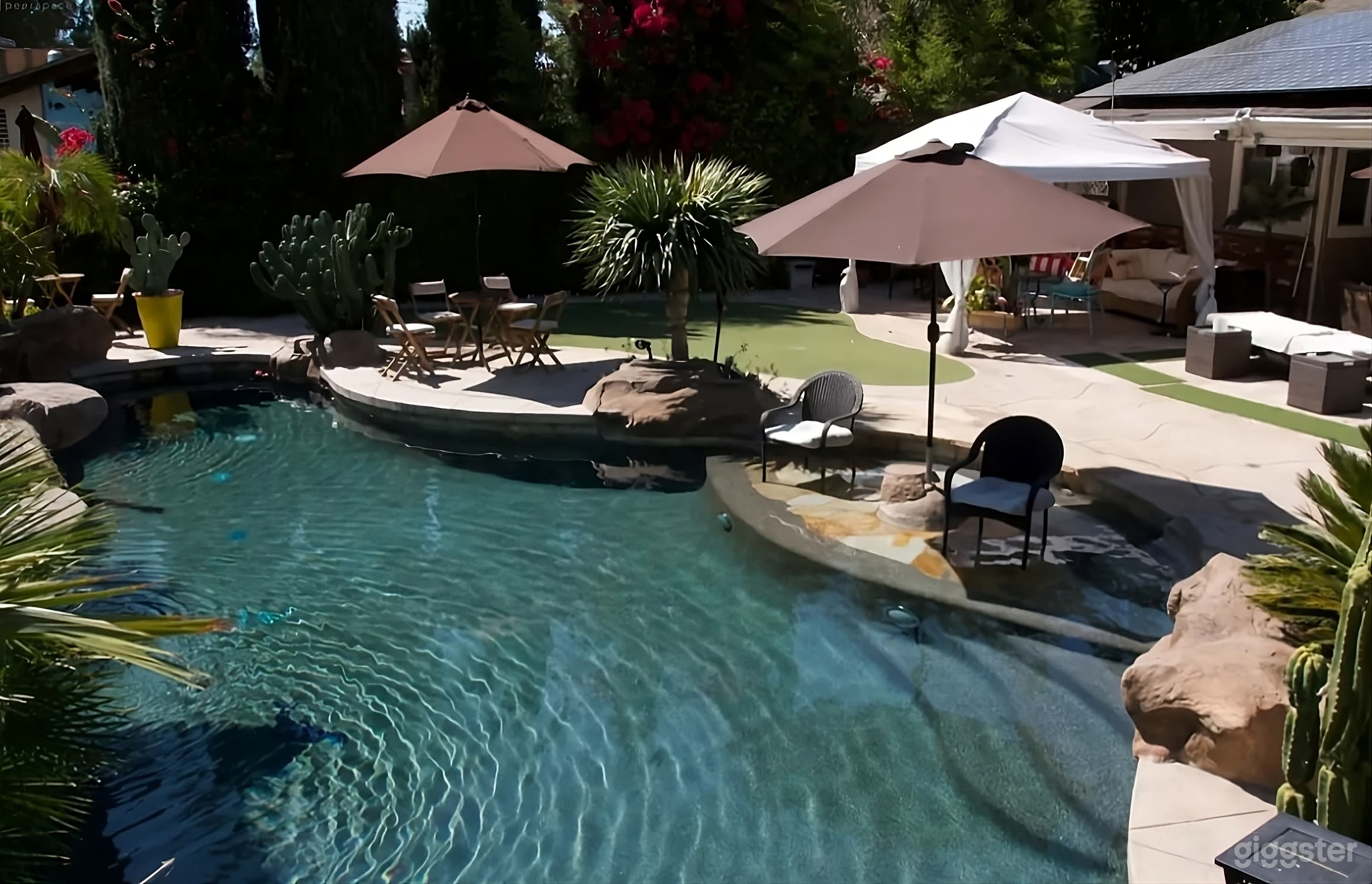 Stunning Resort Style Backyard with Pool Photo 2