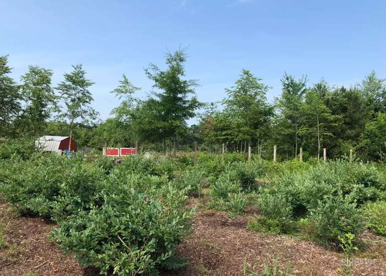  Barnyard Perfect for Photoshoot in Zuni 