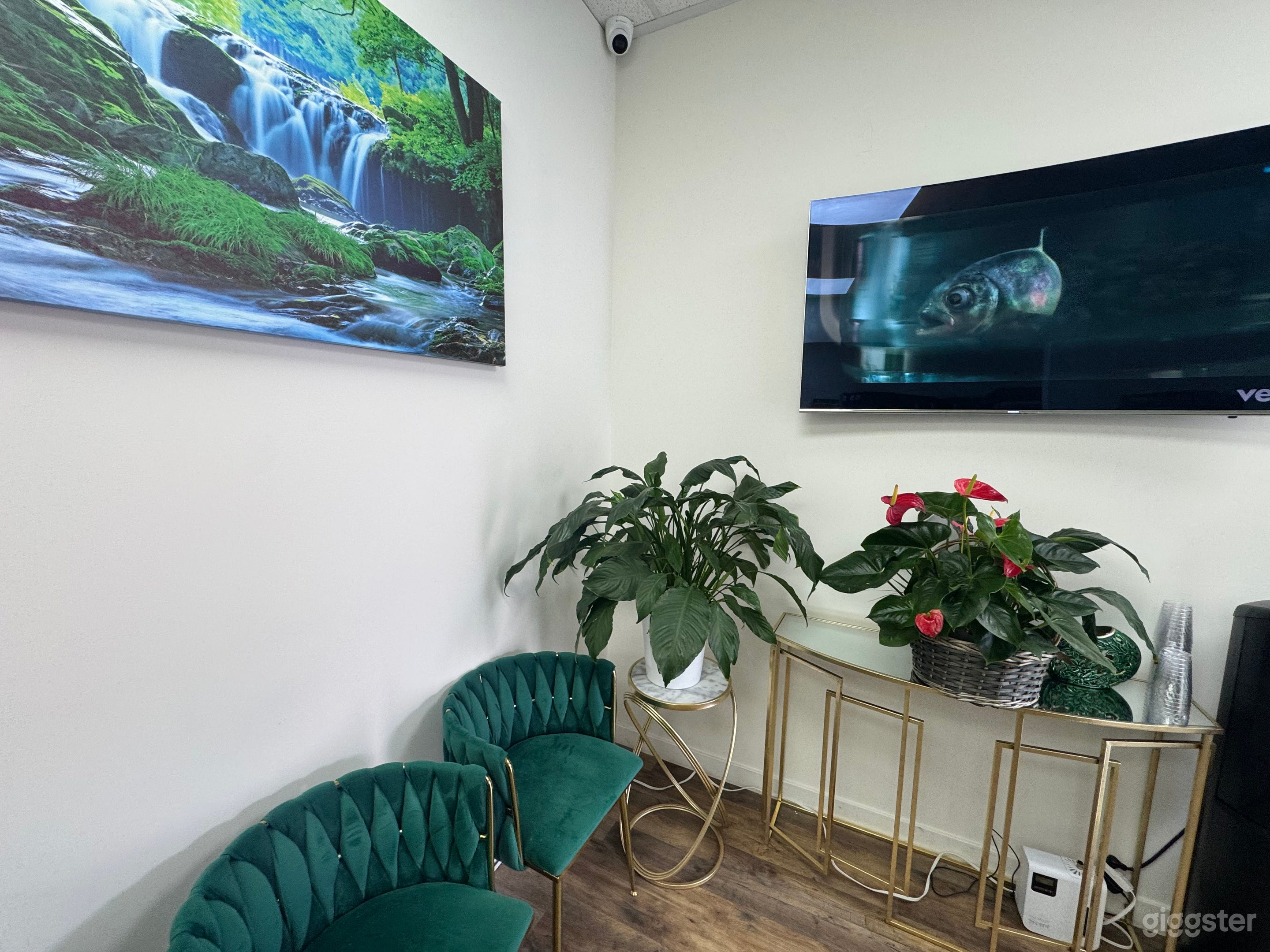 Urgent Care for filming Photo 4