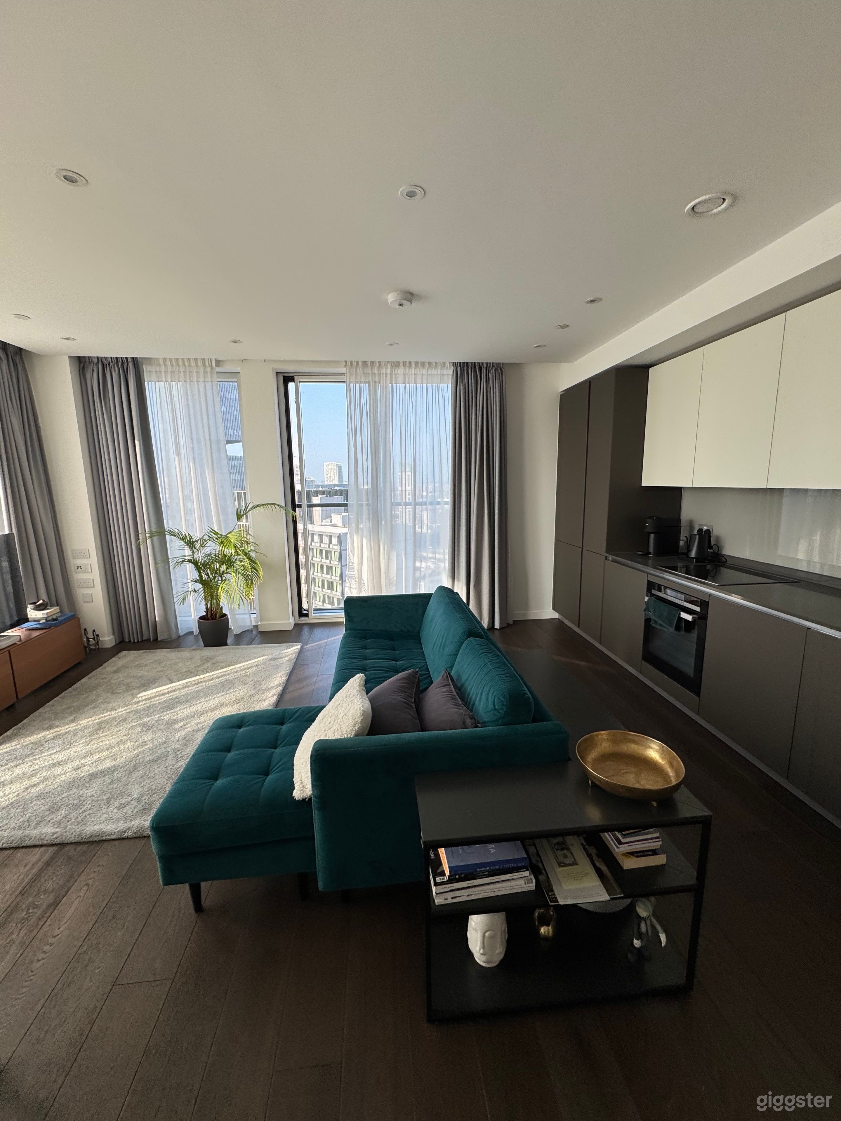 Modern Skyline City View Penthouse With Lots of Sun Light Photo 2