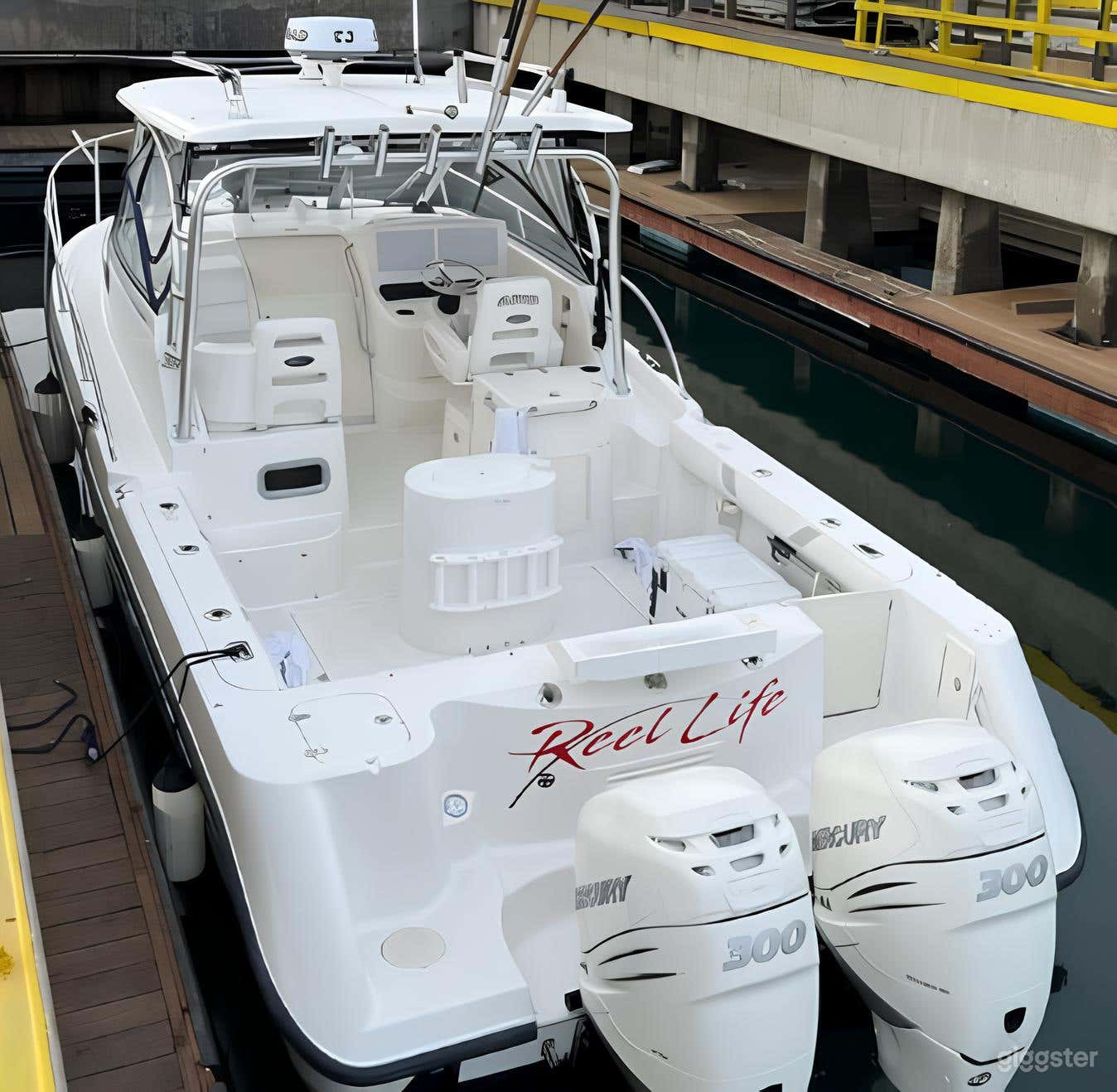 Reel Life  Boston Whaler Conquest FISHING CHARTER Photo 2