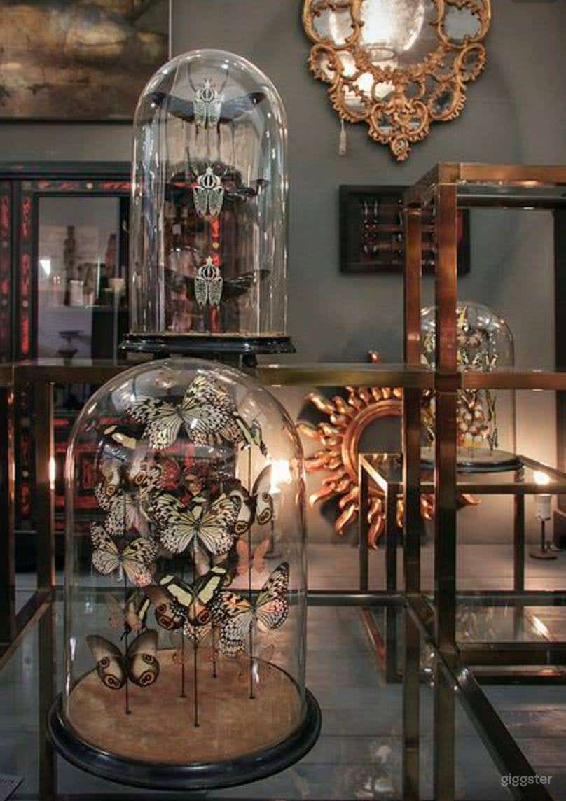 Busacca Gallery Photo 3