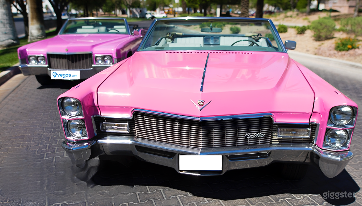 Classic Pink Cadillac Experience Photo 2