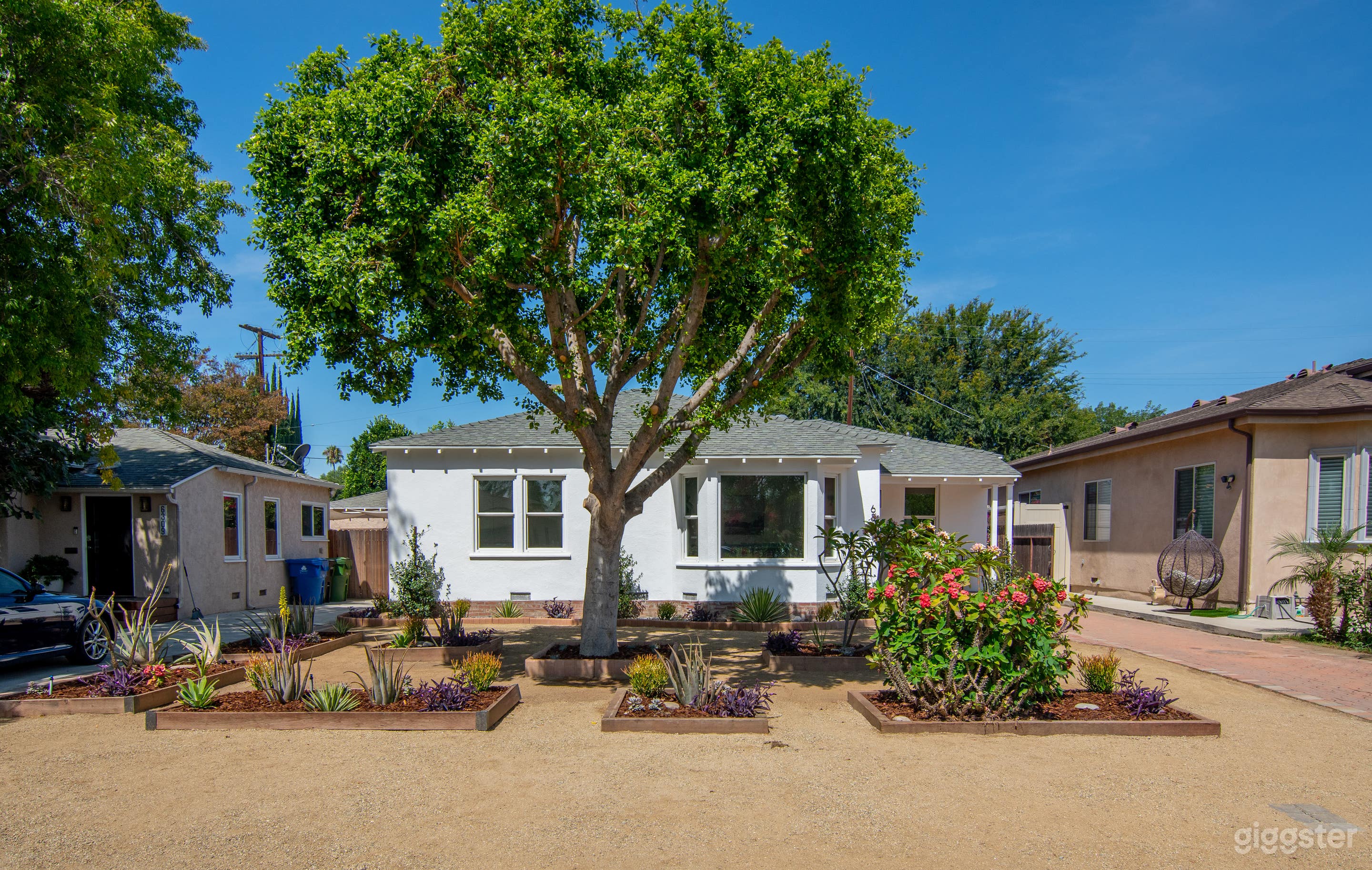 Cozy Modern close to Universal Photo 3