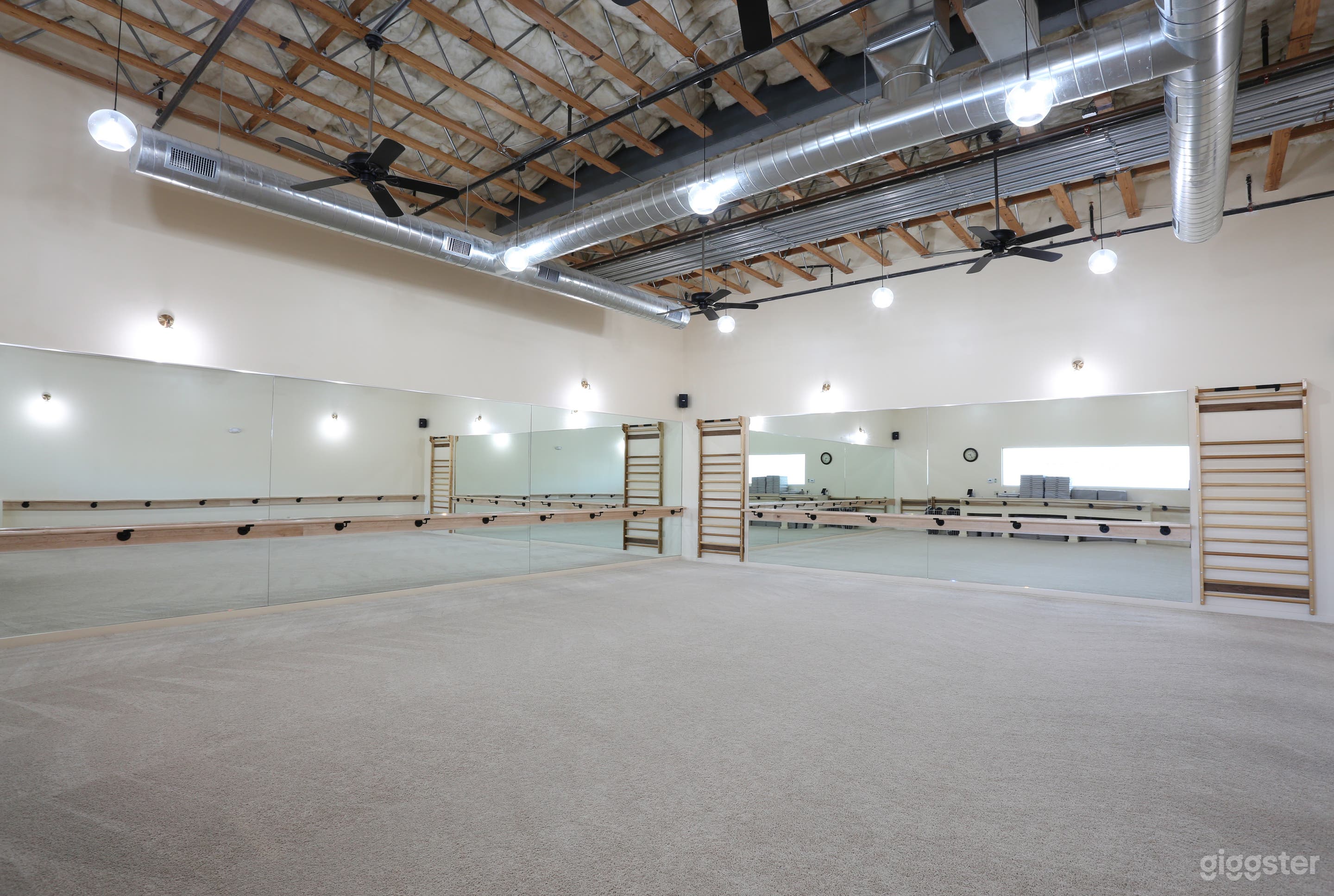 Studio room with carpet and mirrors