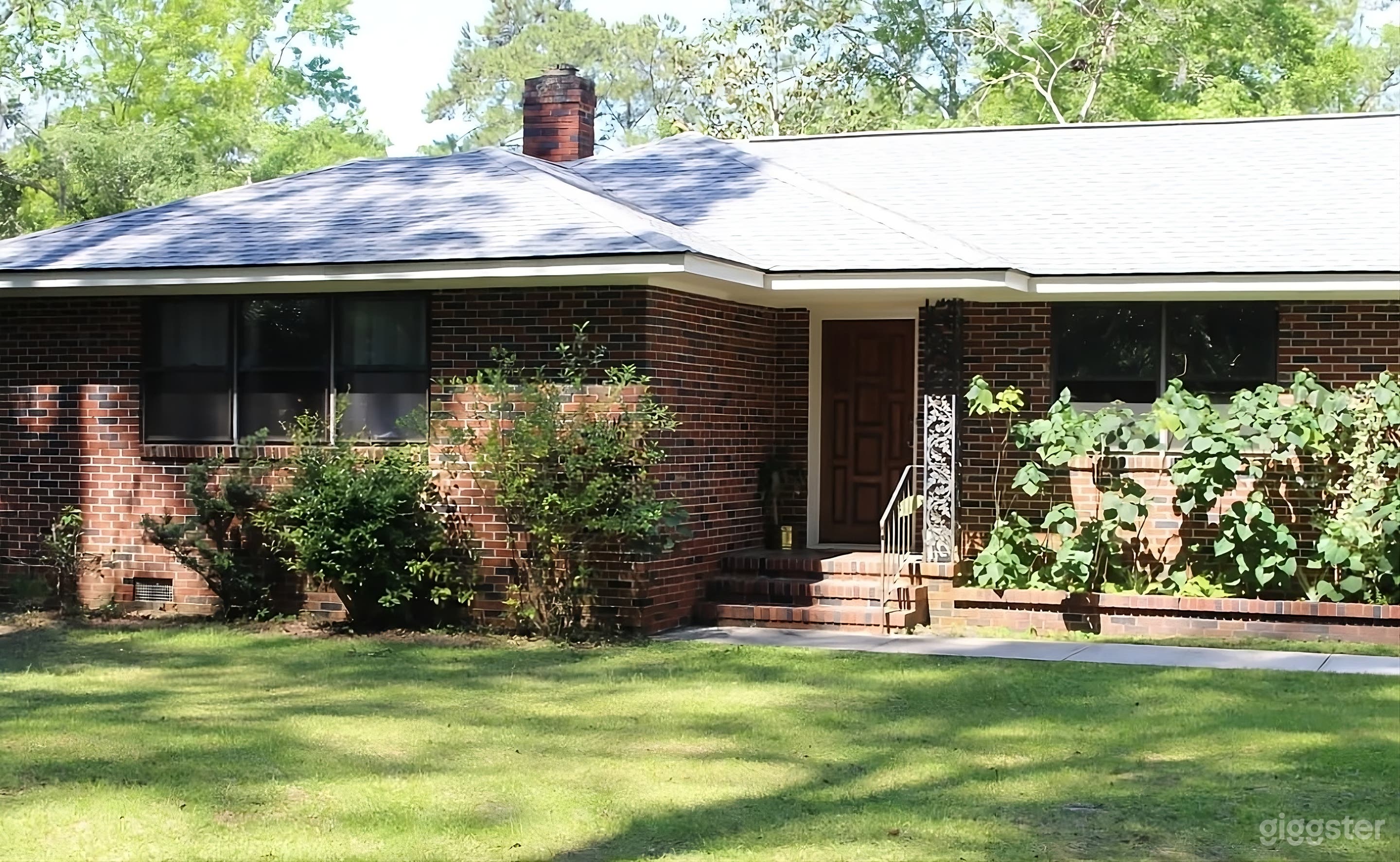 Expansive Wooded Backyard Retreat Photo 3