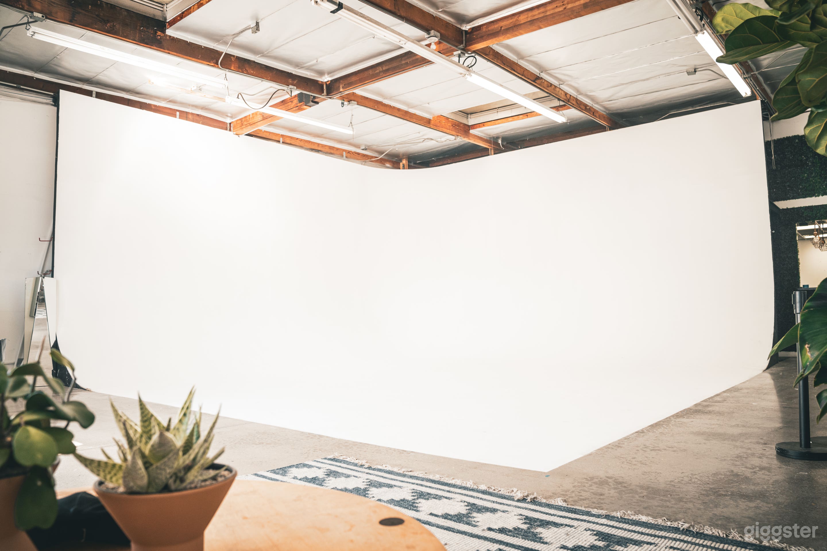 The Commune Club  Photo 1