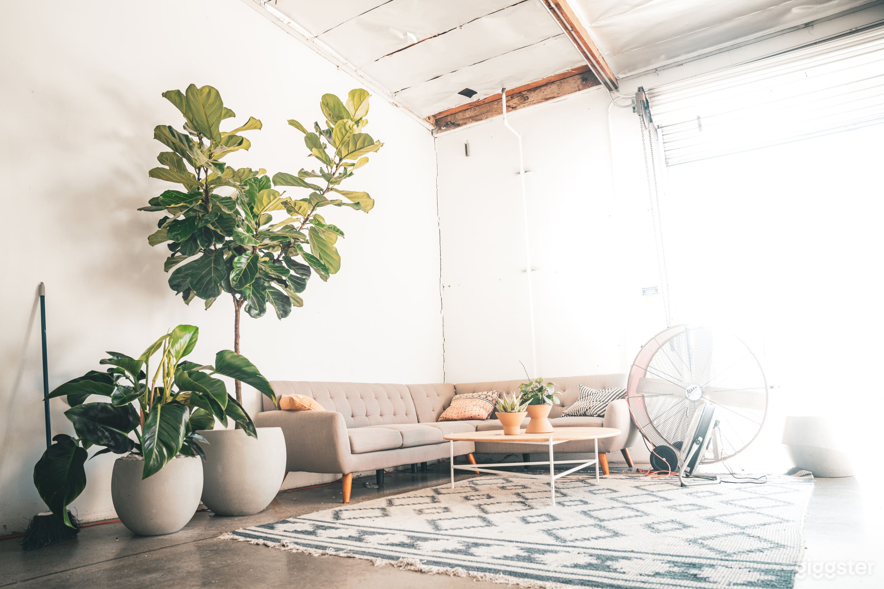 The Commune Club  Photo 2