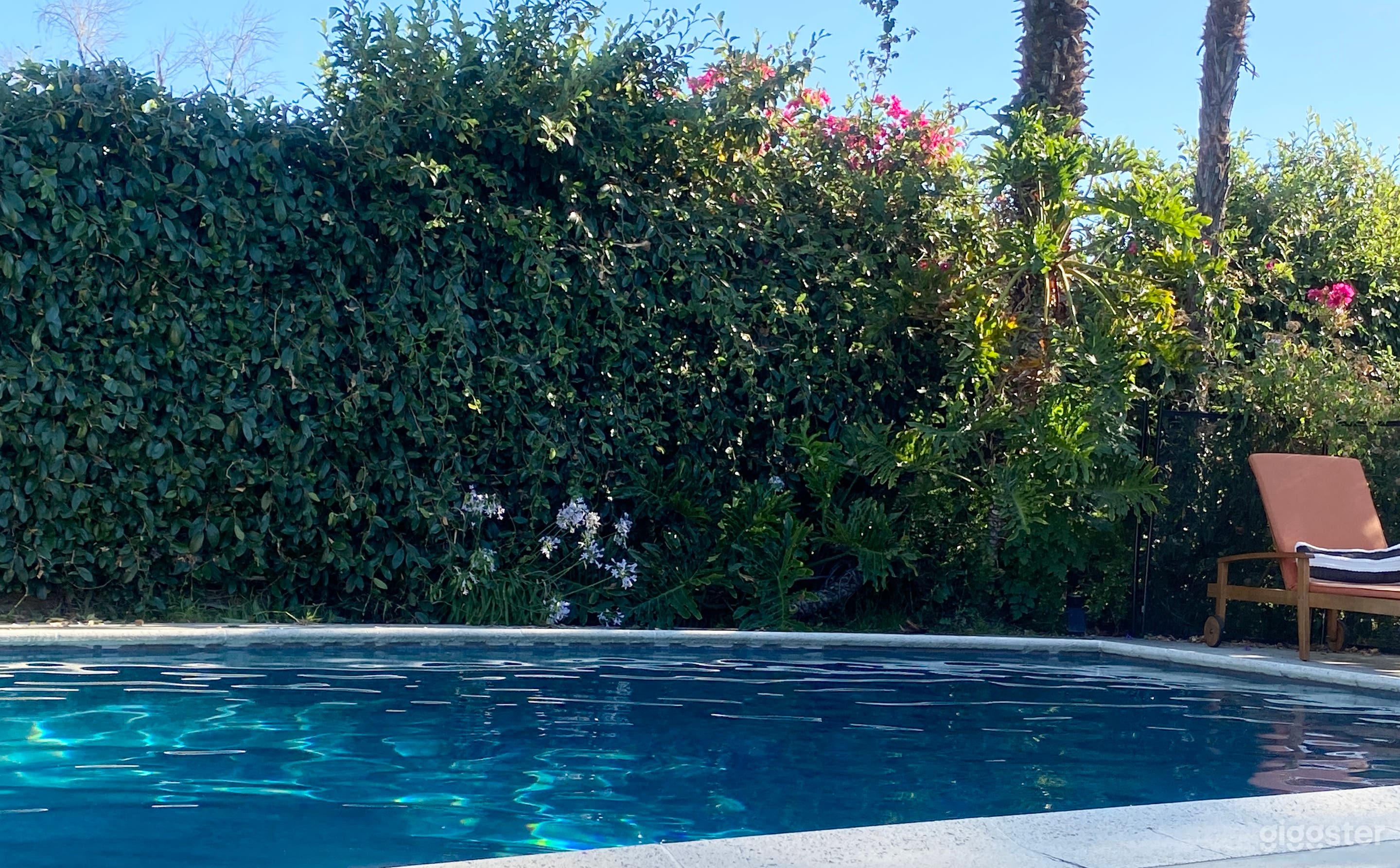 Mid Century Mod Valley Oasis Photo 3