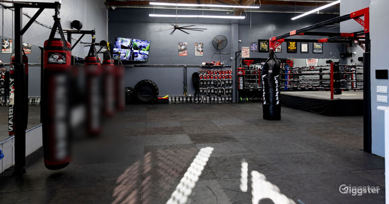 Muay Thai / Kickboxing Gym 