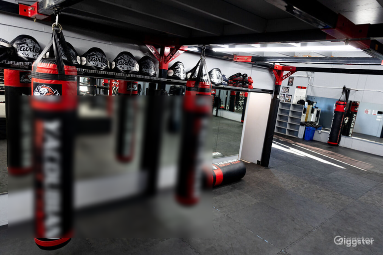  Muay Thai / Kickboxing Gym 