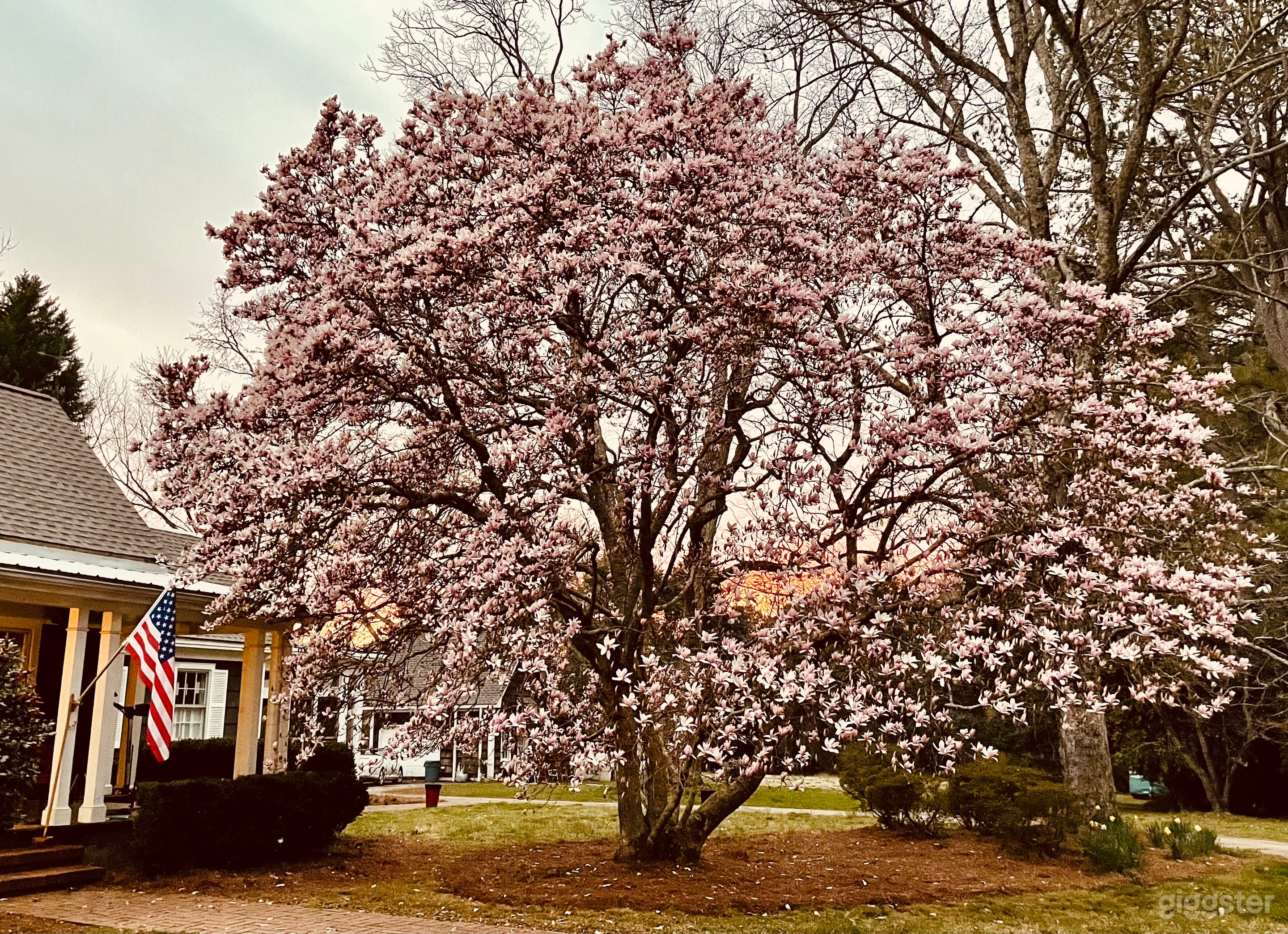 Birdsong Hill-Classic Cape Cod Look w/ Pool &amp; Bar Photo 3