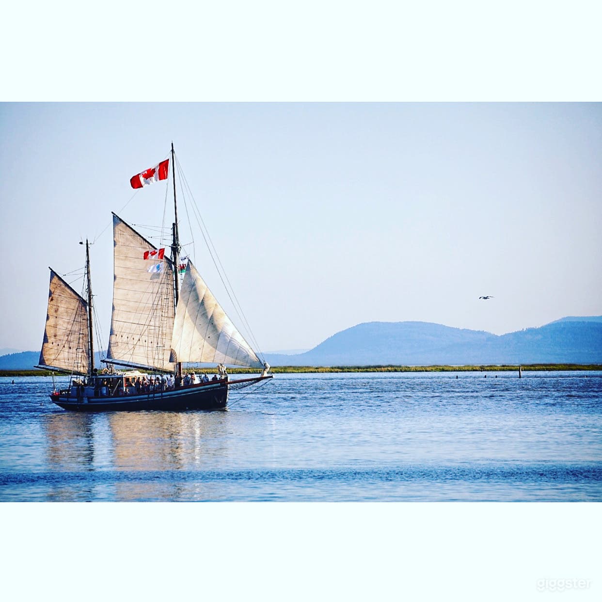 Authentic Tall Ship  Photo 4