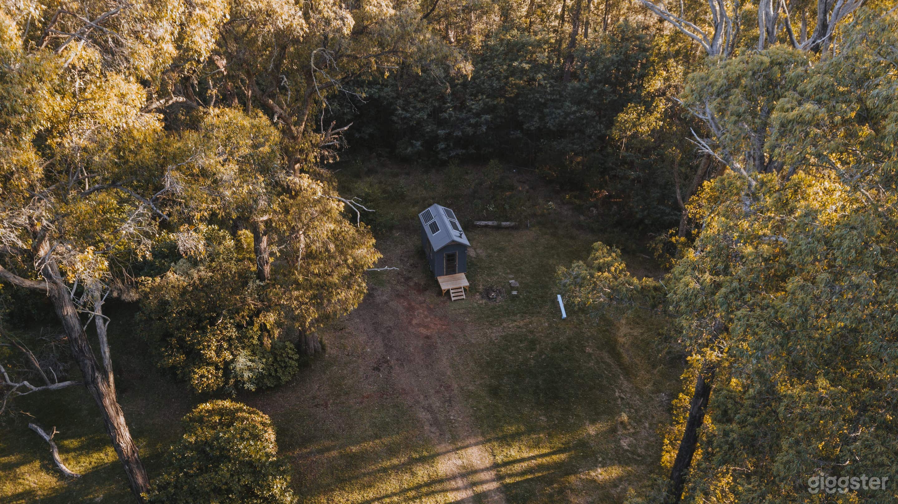 Rendezvous Nexus Photo 2