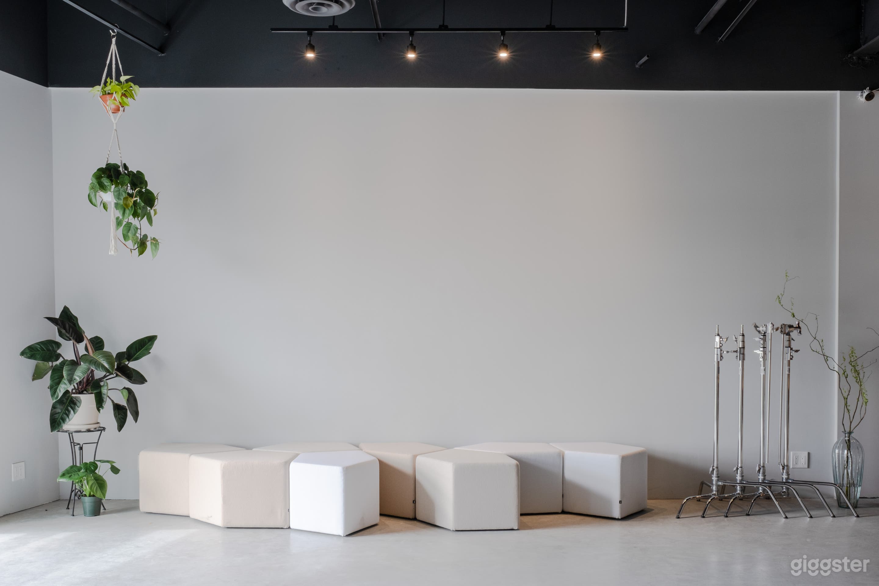 Super Spacious Cyclorama Studio Photo 2