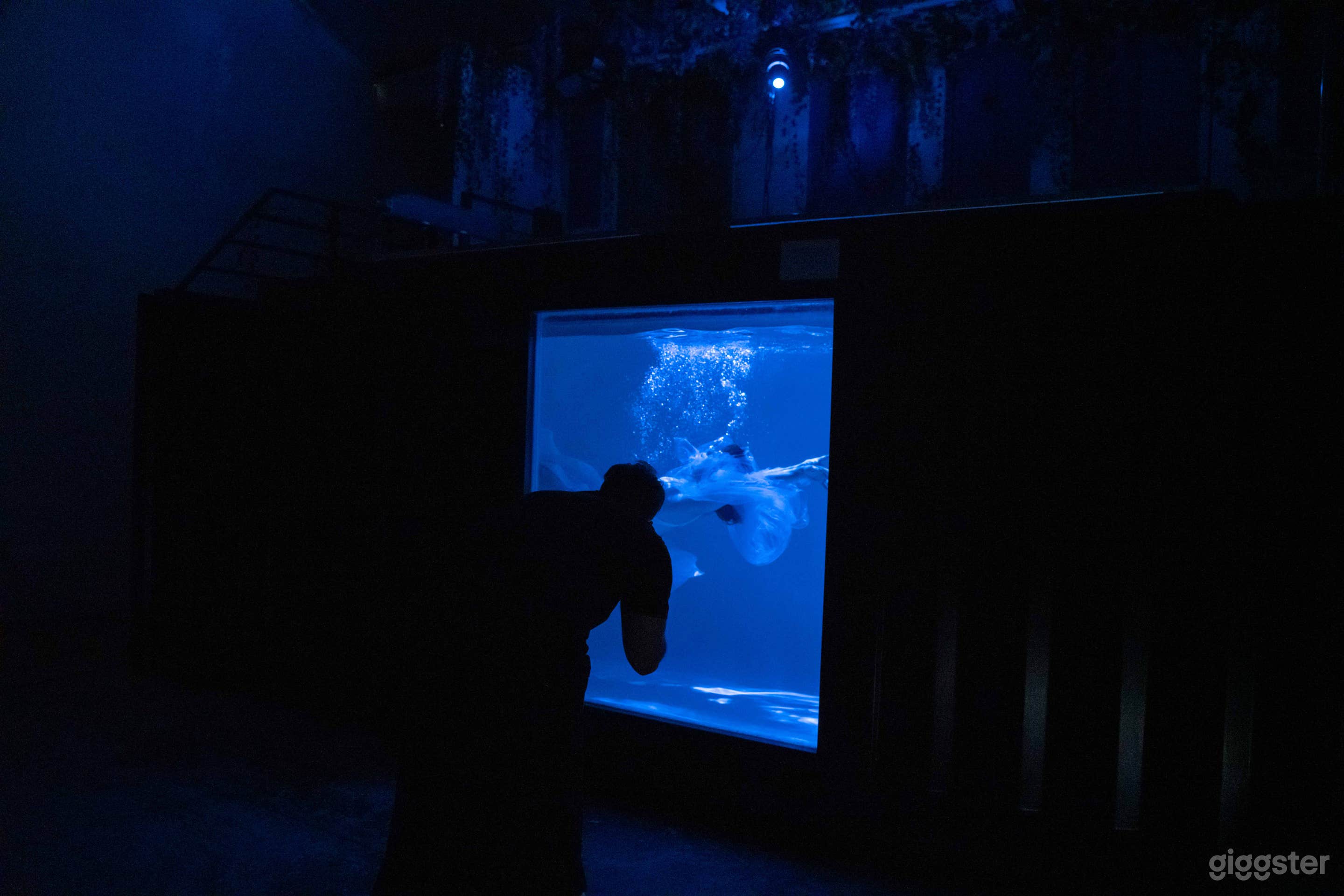 Underwater Studio in Los Angeles Photo 3