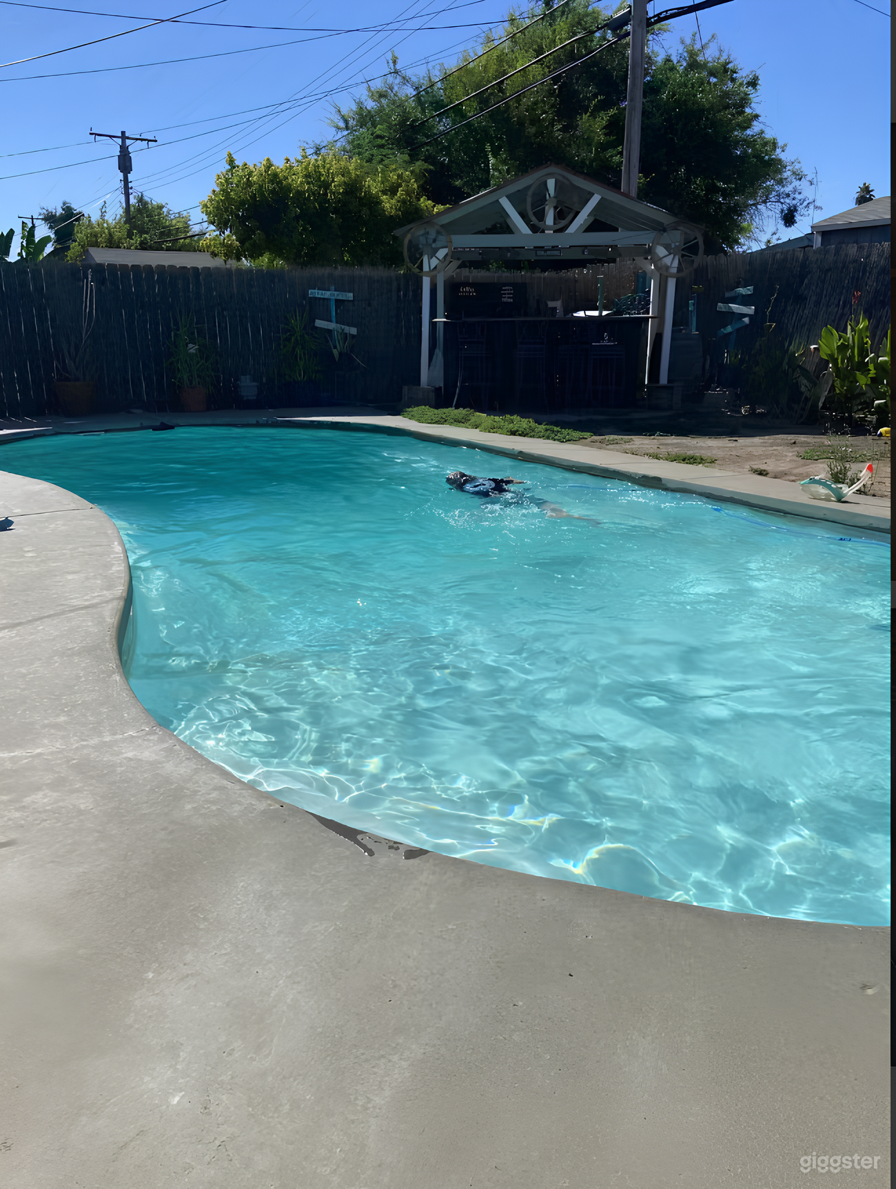 Bright Blue Poolside Haven Photo 3