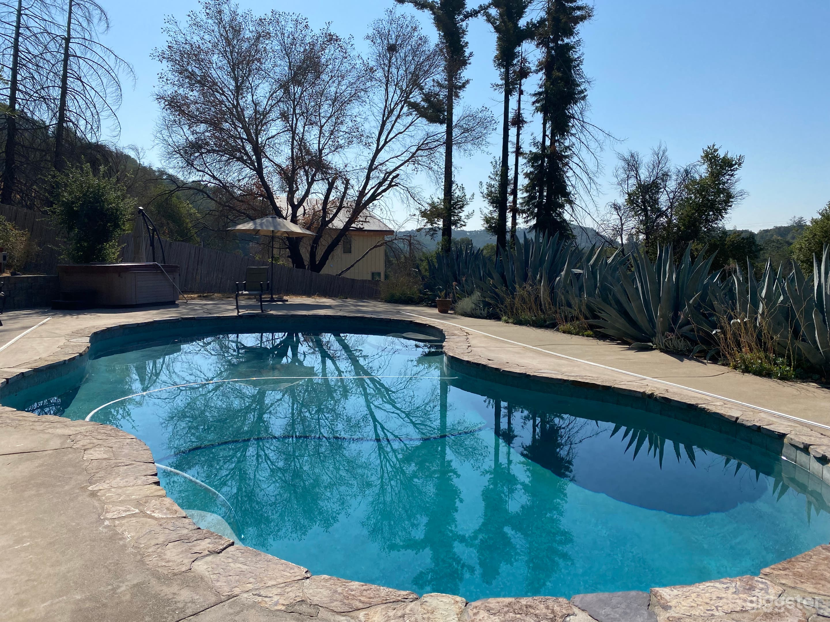 Pool  and hot tub with  a 200 sq ft patio olive trees agave and views