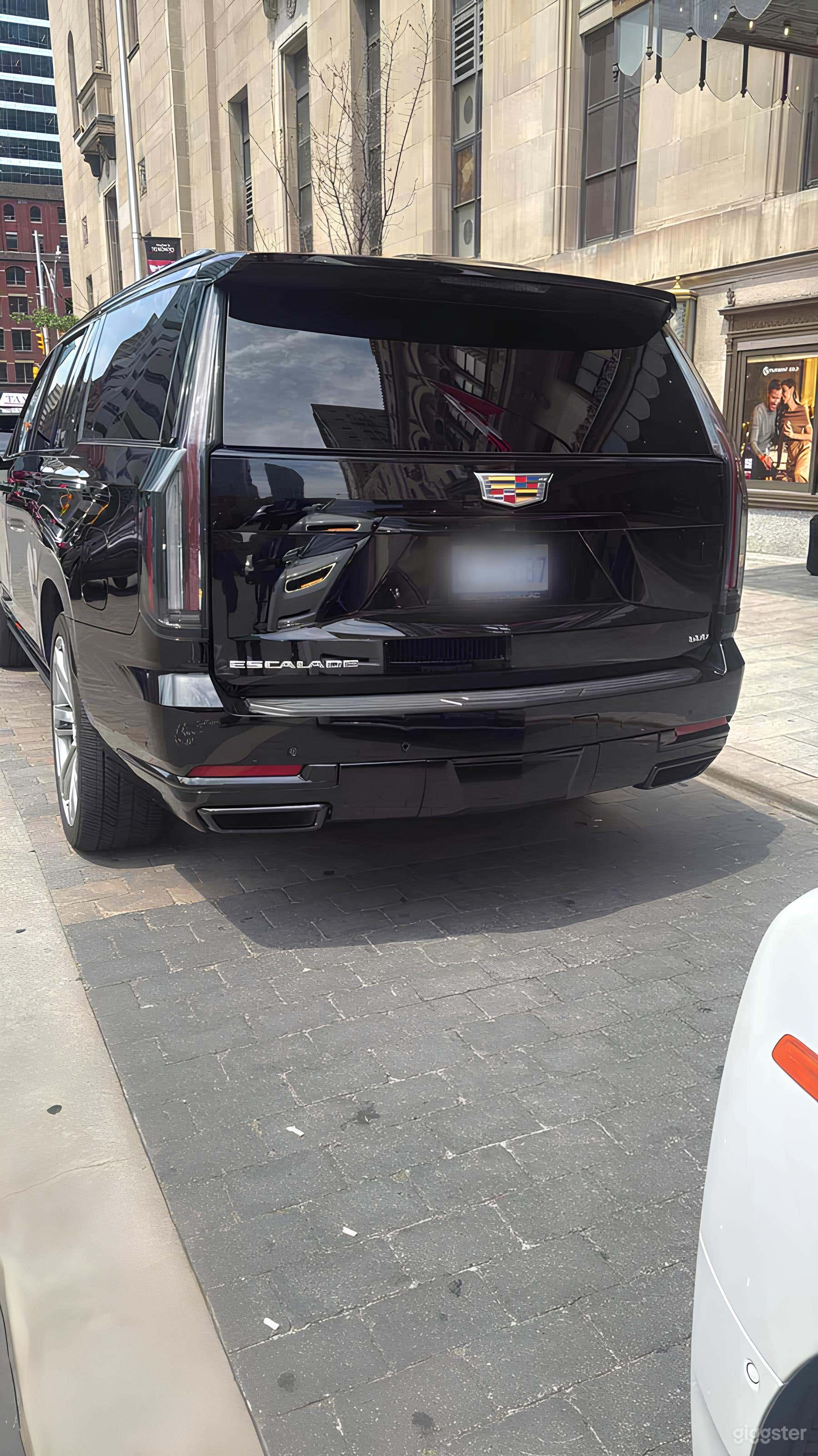 Cadillac Escalade ESV Photo 4