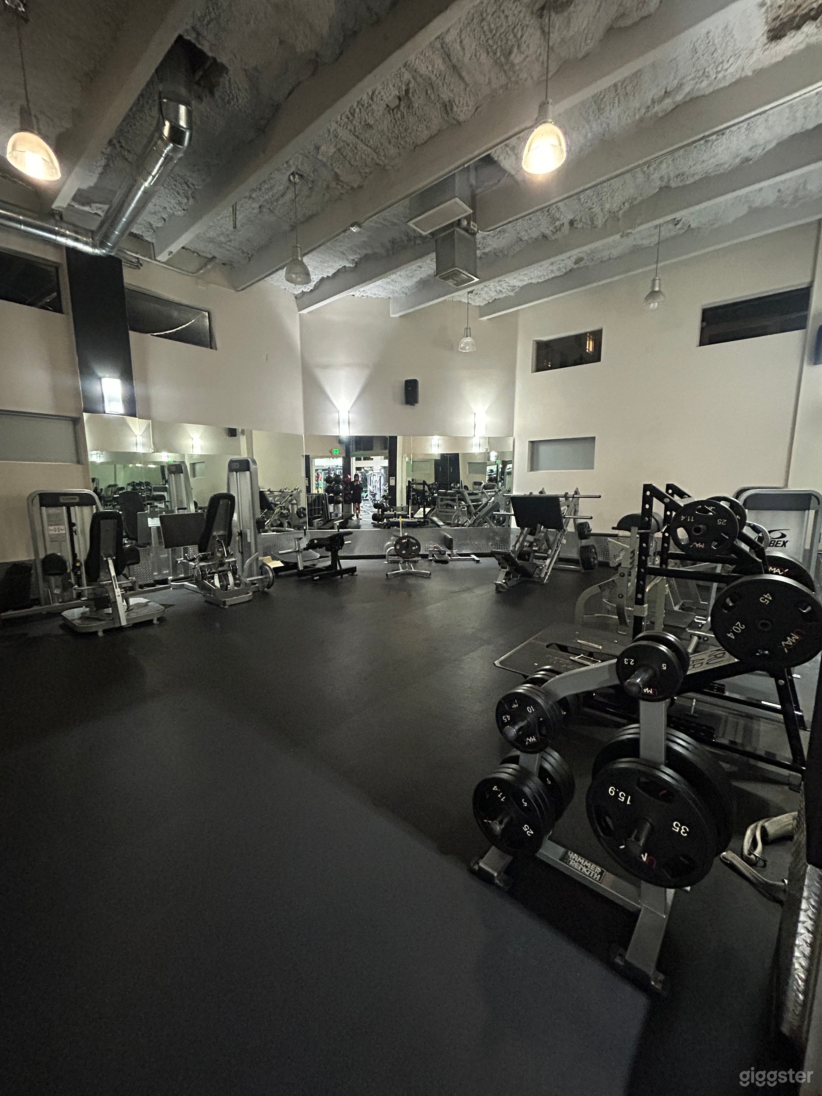 Luxury Gym with Industrial Modern Design Photo 3