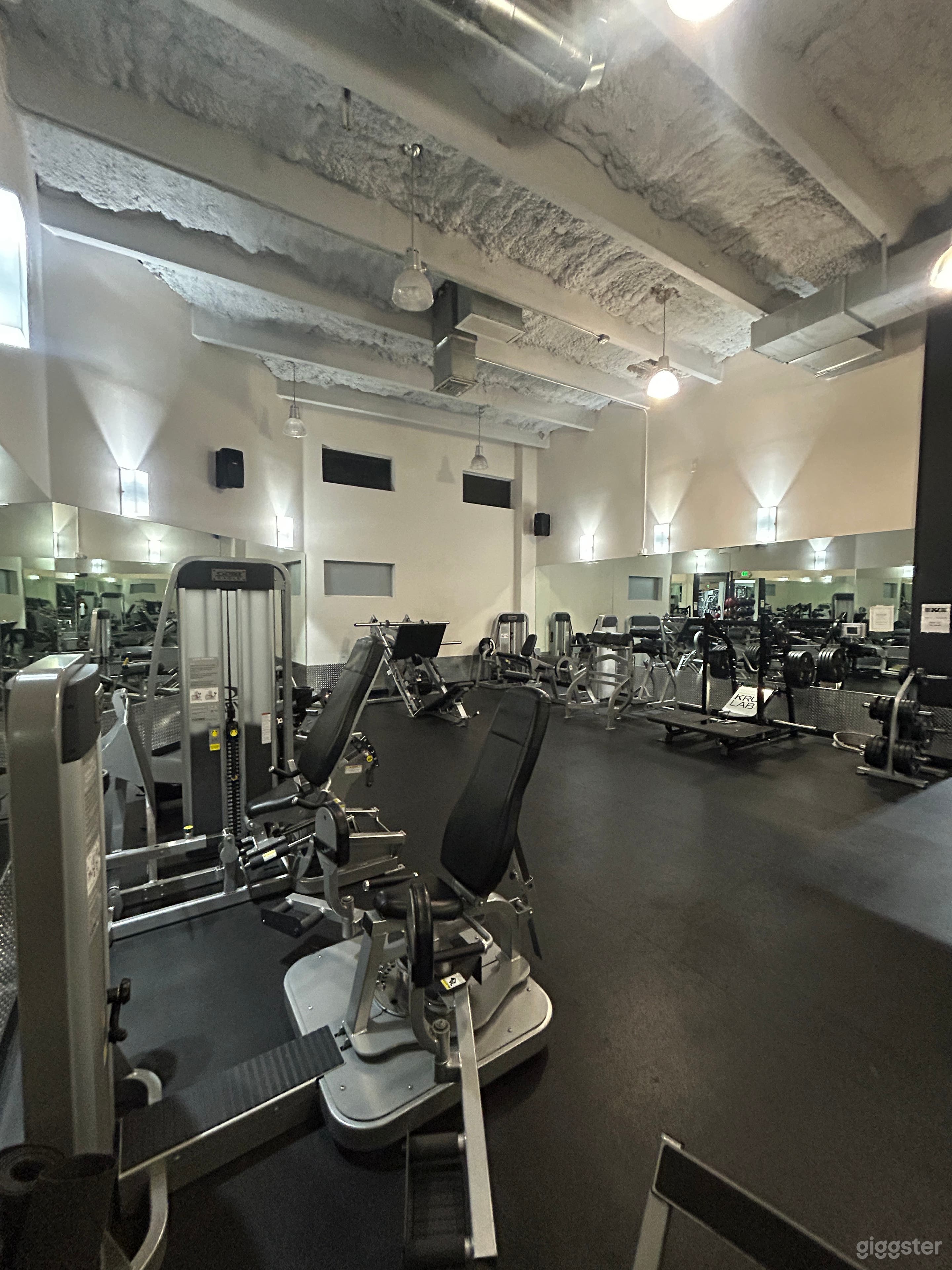 Luxury Gym with Industrial Modern Design Photo 4