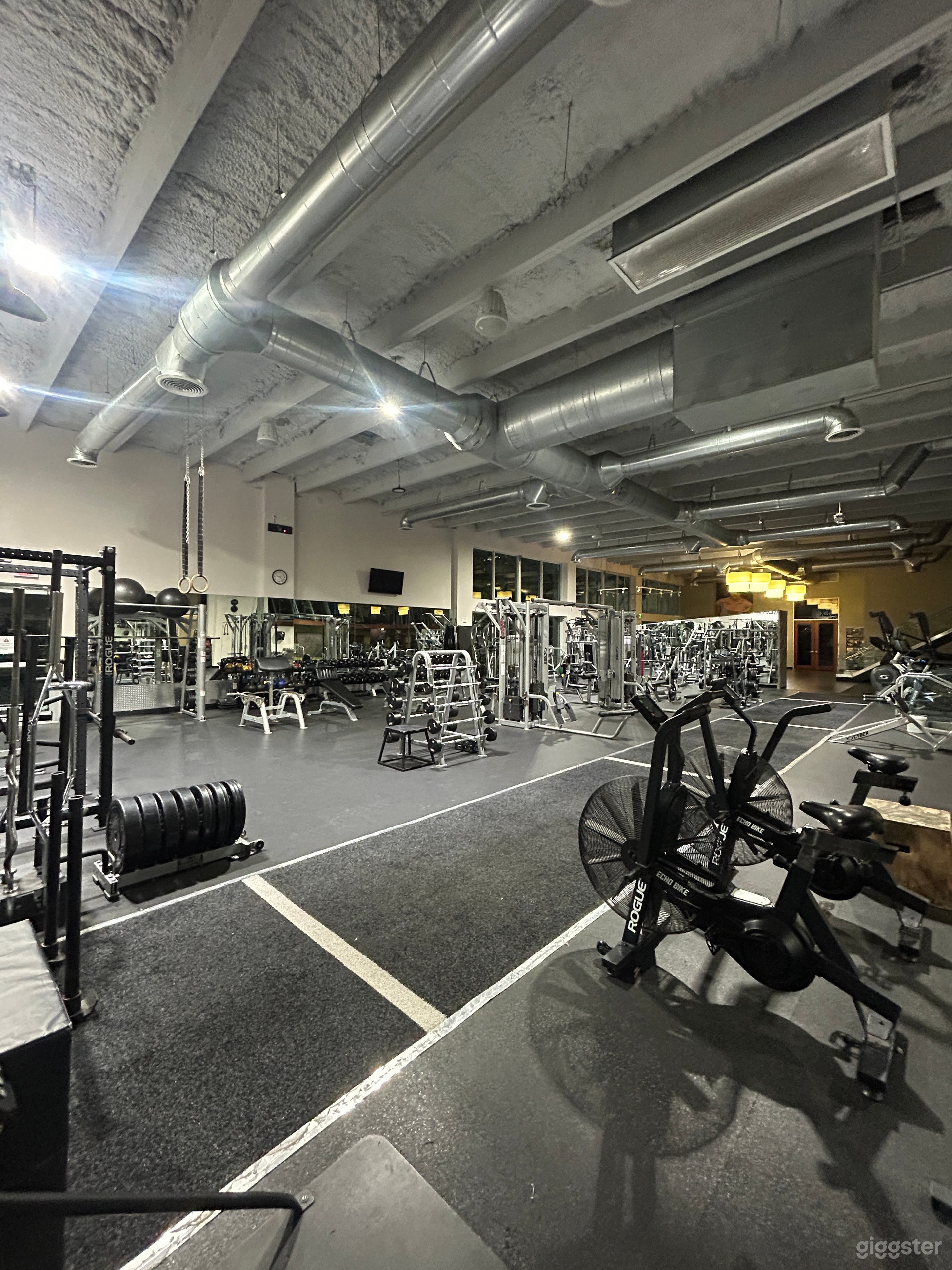 Luxury Gym with Industrial Modern Design Photo 2