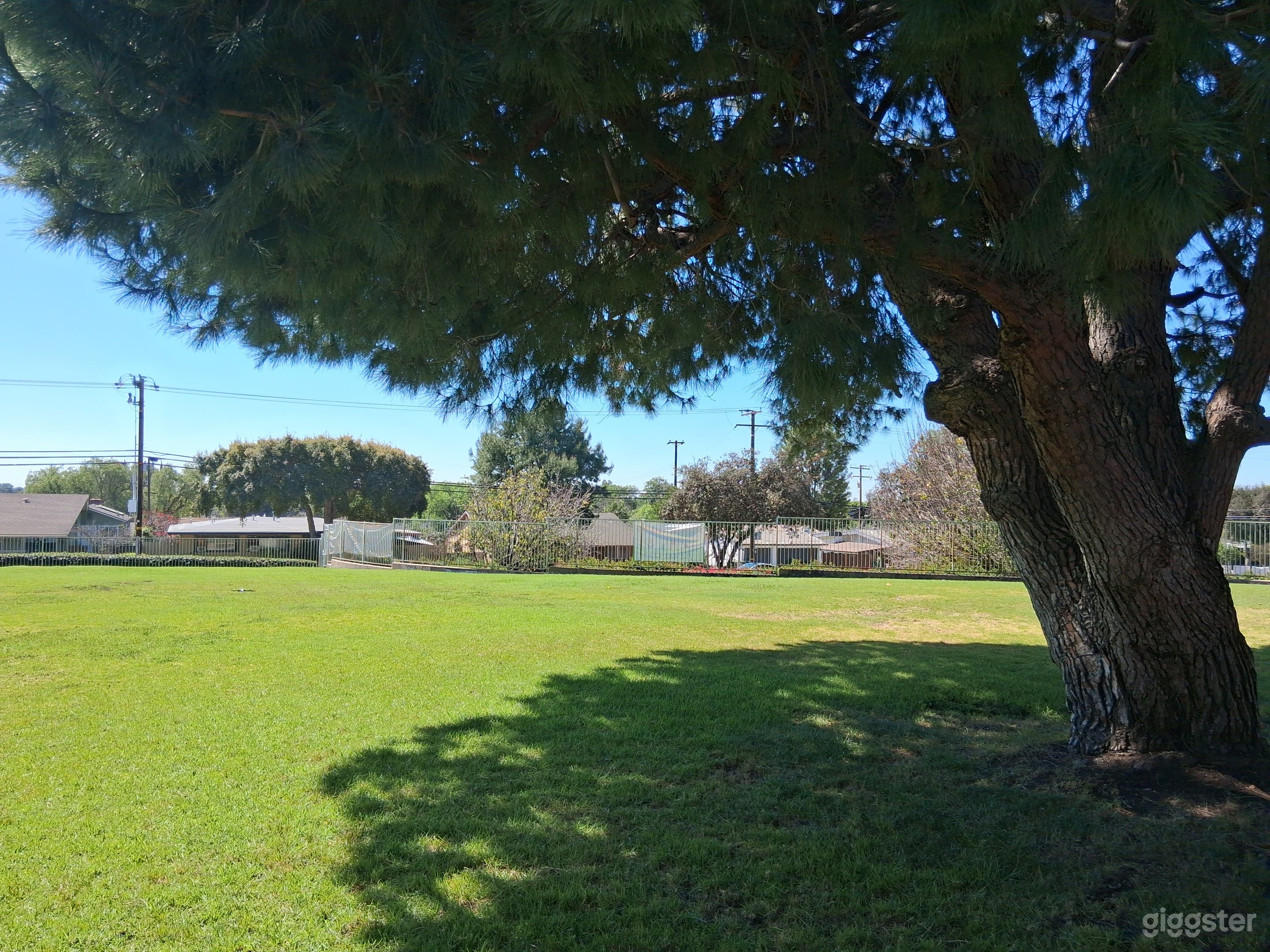 The Grand Lawn Photo 4