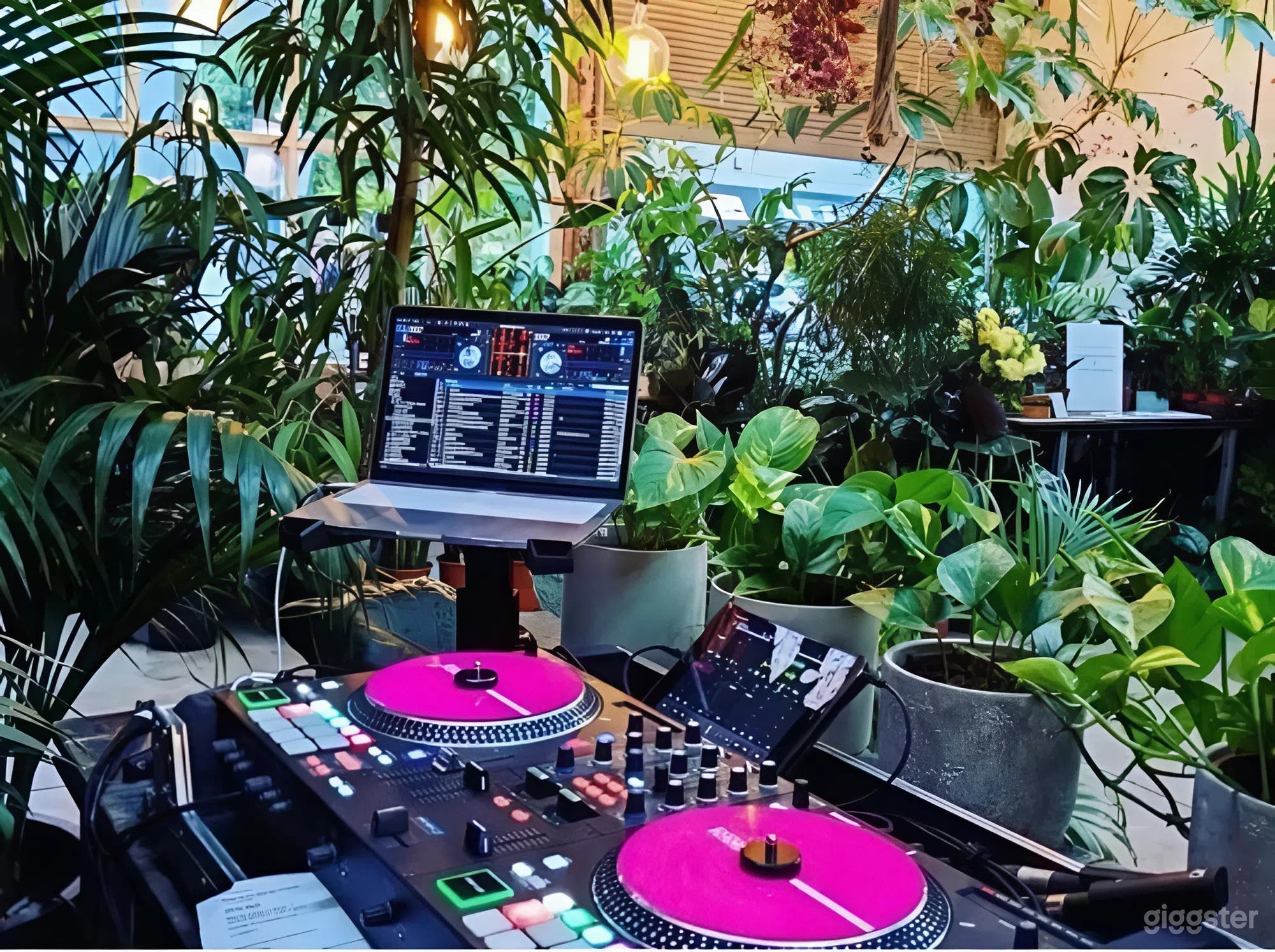 Garden (Outdoor terrace) Photo 3