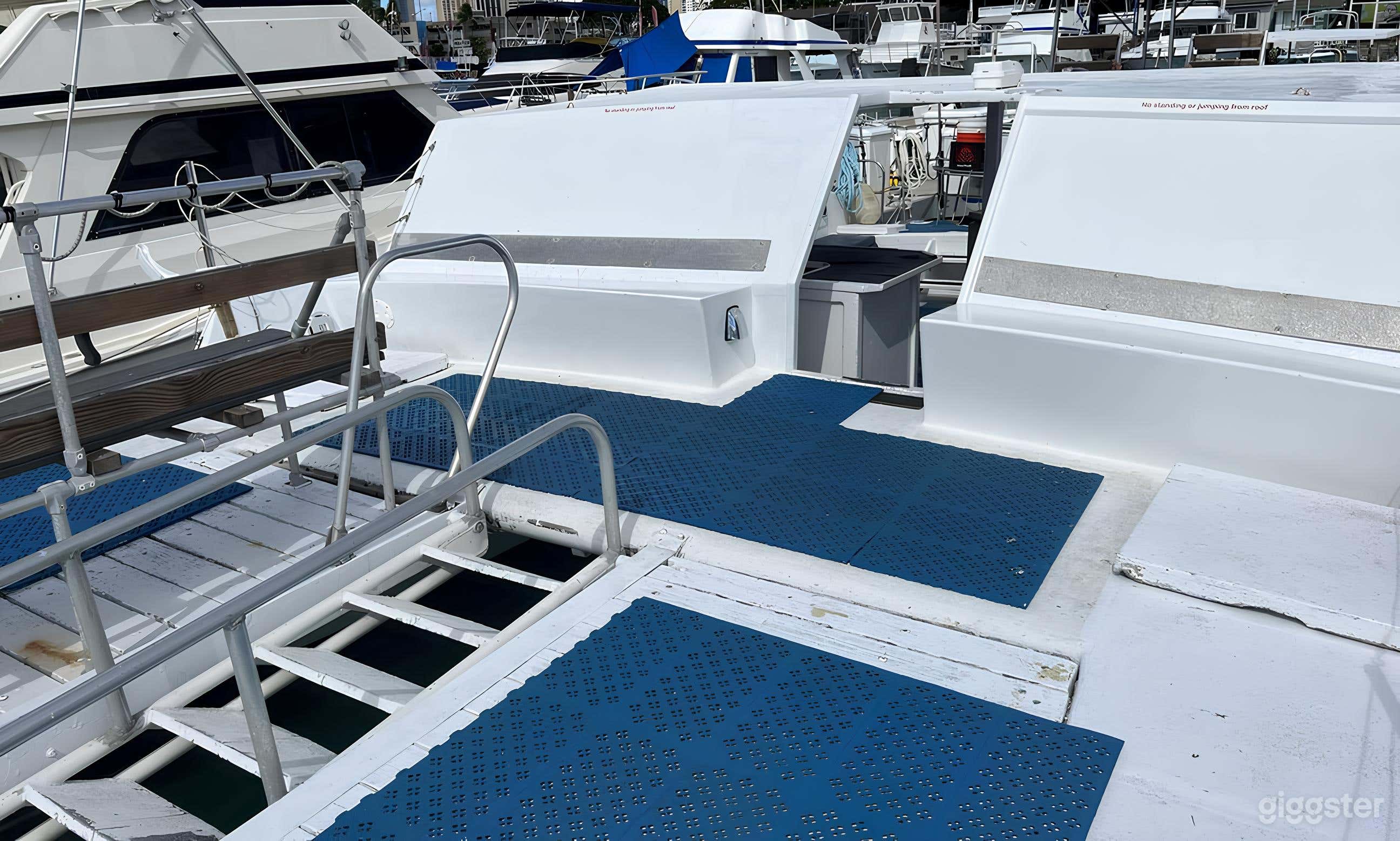 46 Private Passenger Catamaran Photo 3