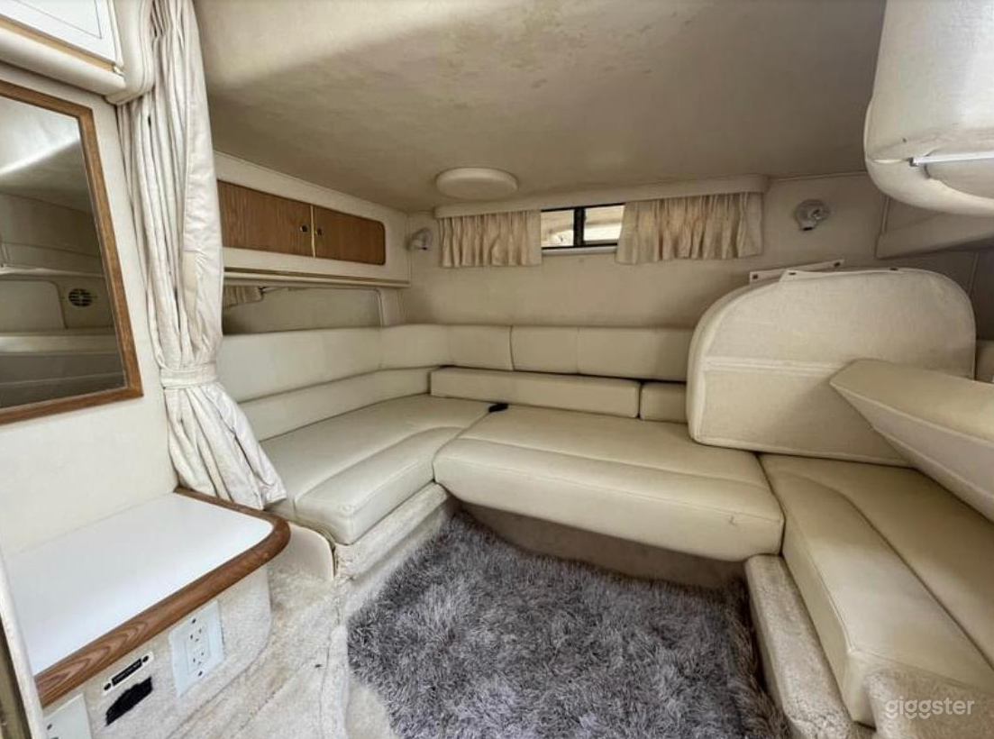 Gorgeous 34FT Sea Ray Sea Isle #1 Party Boat Space Events Photo 4