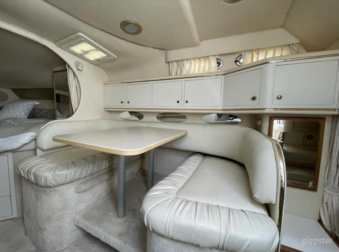 Gorgeous 34FT Sea Ray Sea Isle #1 Party Boat Space Events Photo 2