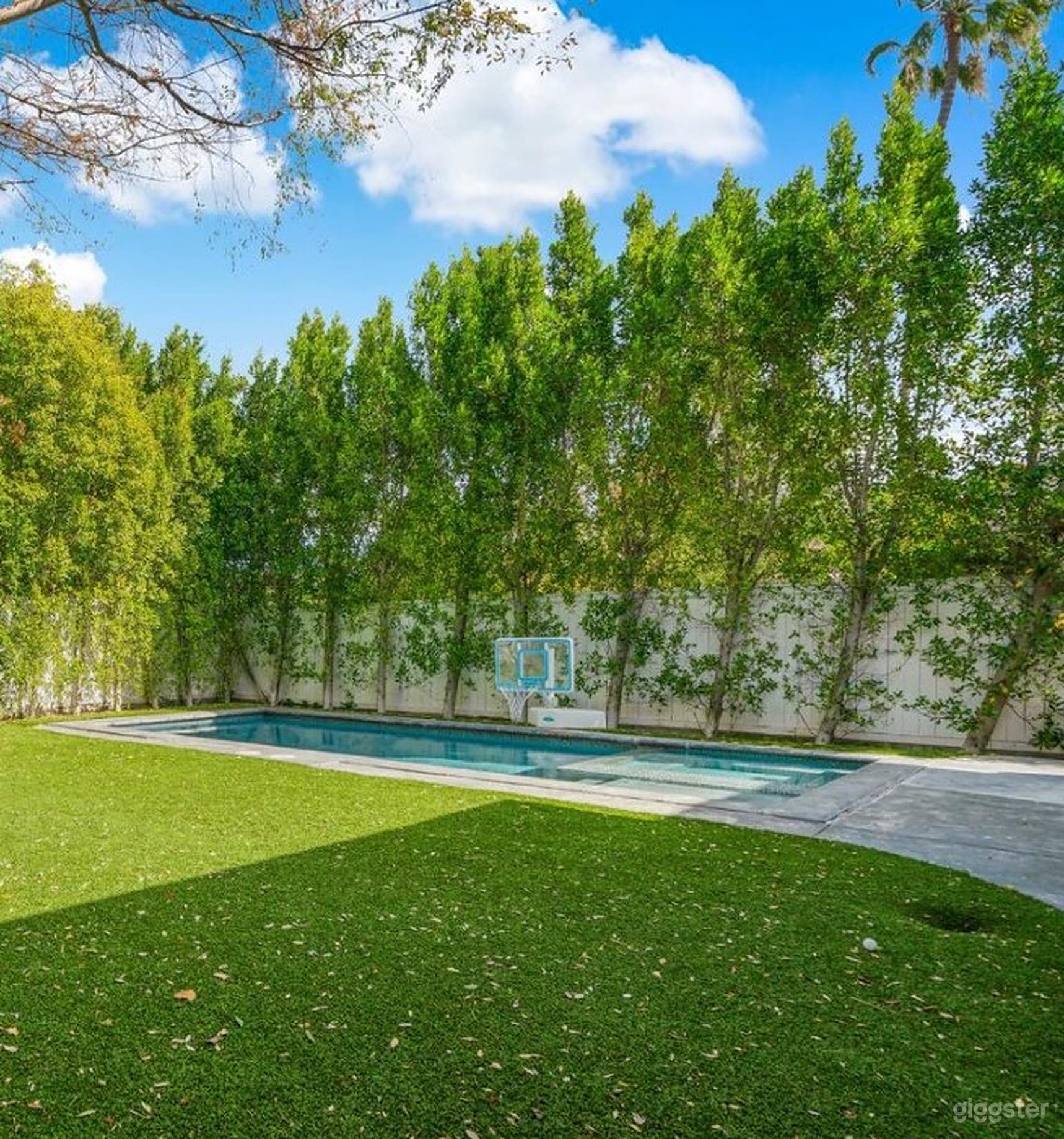 Timeless Traditional Pool Photo 1