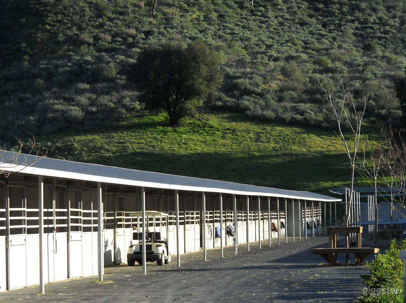Barn in early morning - looking south (Spring)