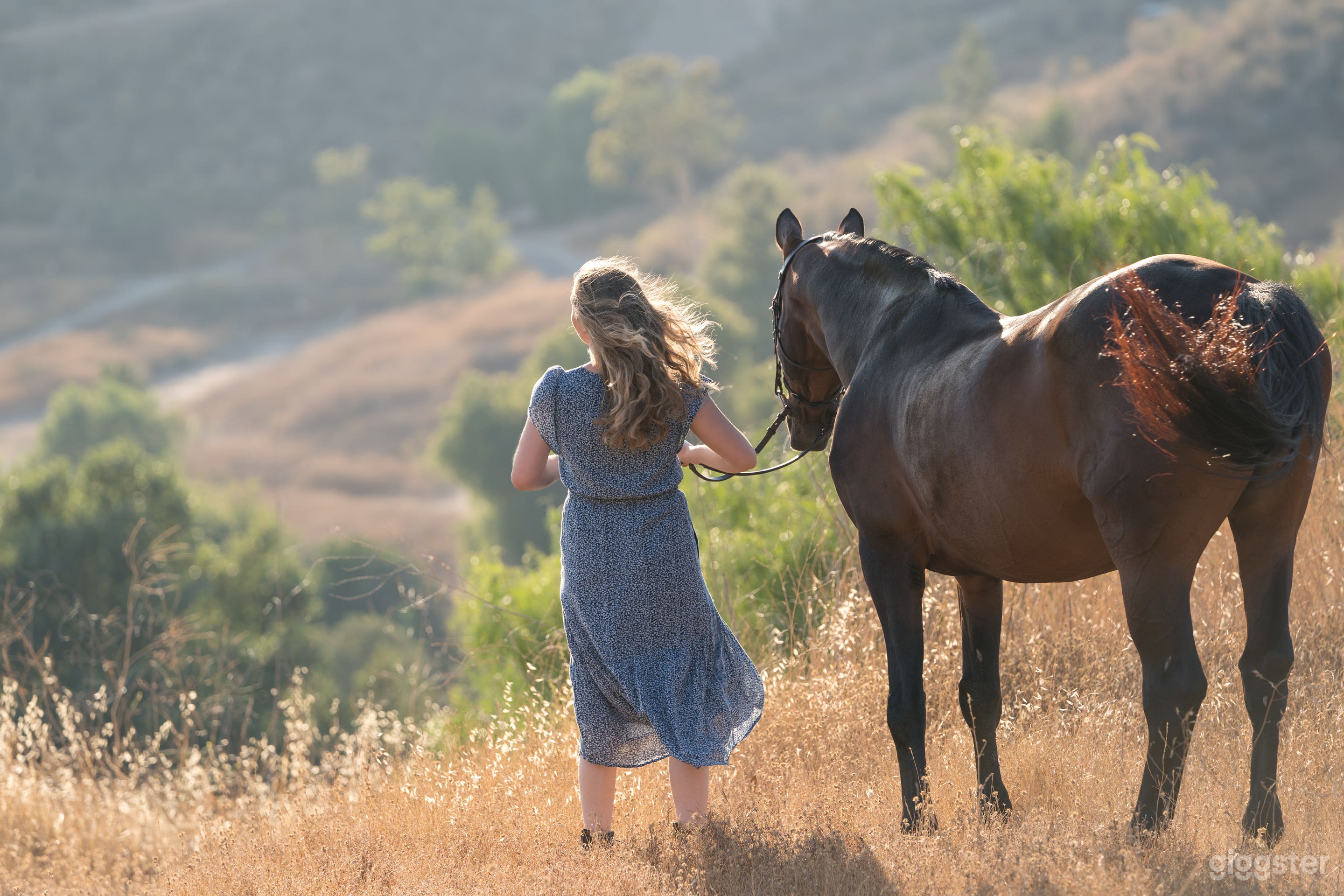 Upscale horse farm+ Rugged terrain + 2 avail homes Photo 1