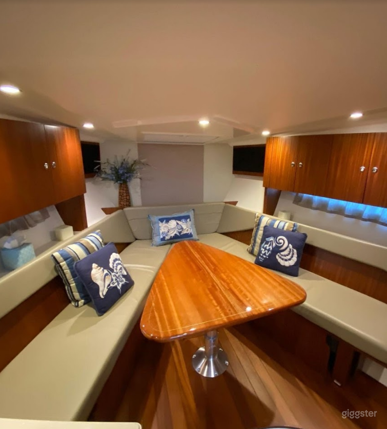  Sporty 36ft Pursuit SC Party Boat Space Events Photo 1