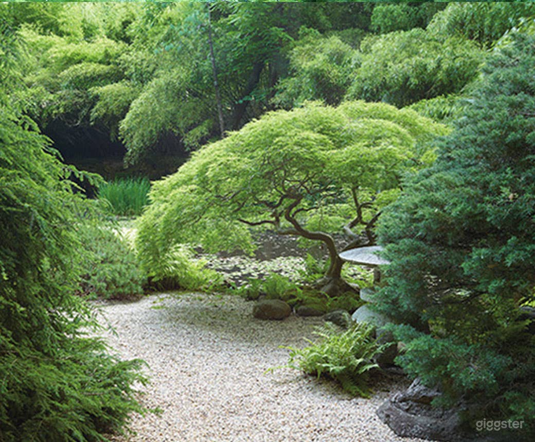 Japanese inspired  gardens: Location 5236 Photo 1