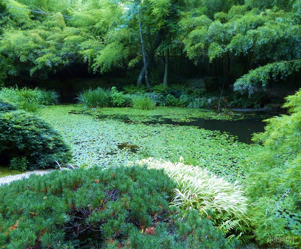 Japanese inspired  gardens: Location 5236 Photo 2
