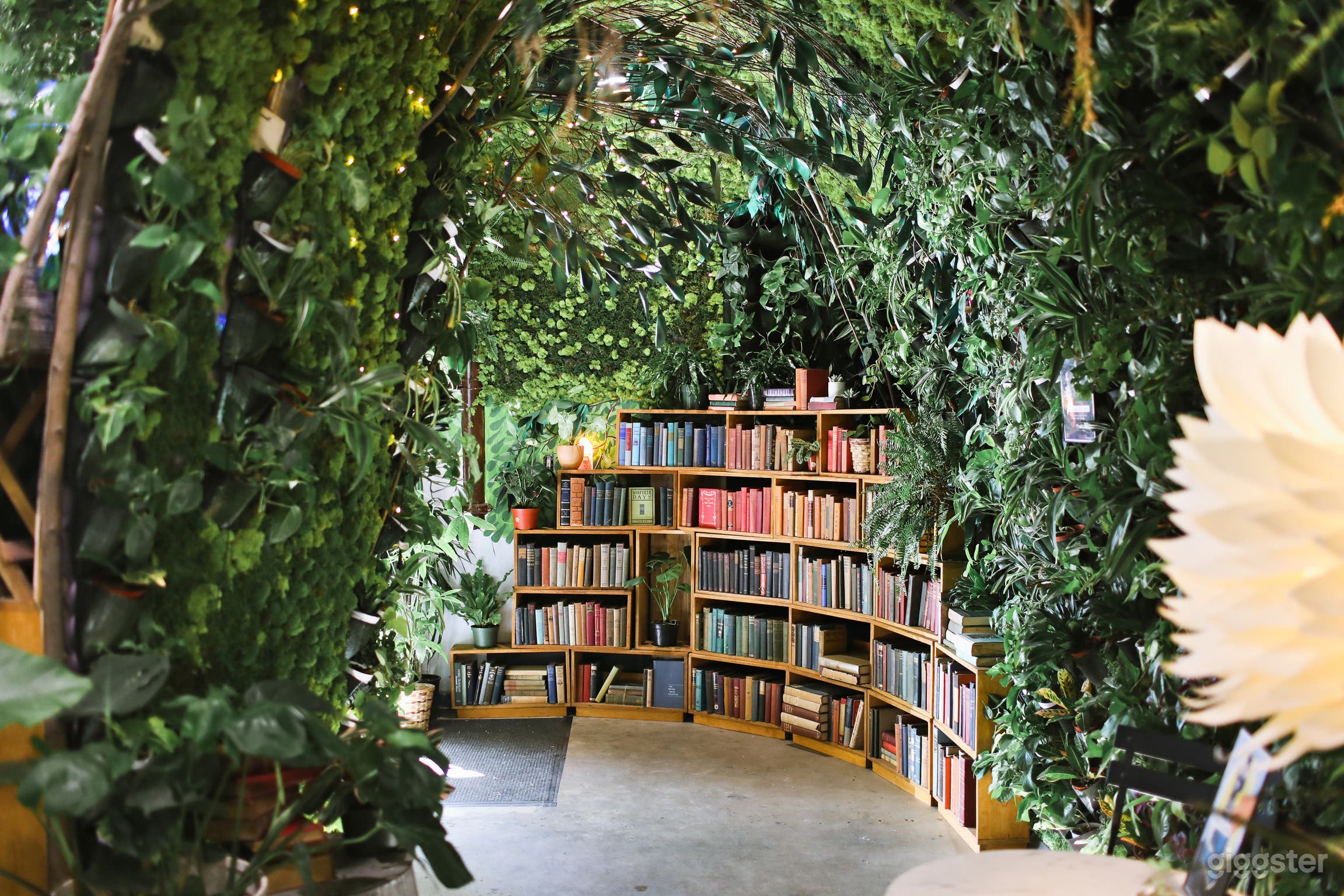 Cinematic Bookstore &amp; Living Library in LA | Lost Books Photo 3