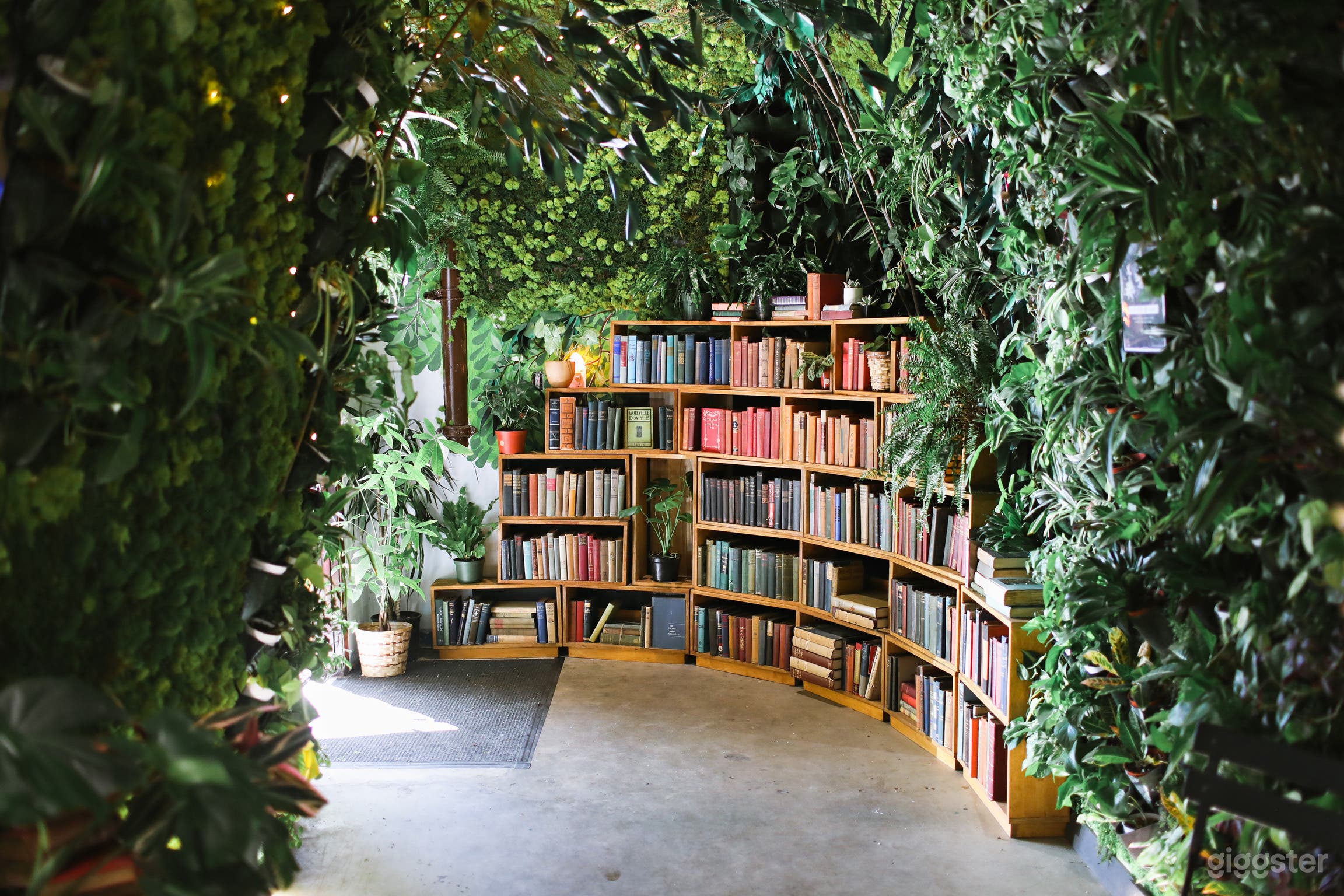 Cinematic Bookstore &amp; Living Library in LA | Lost Books Photo 1