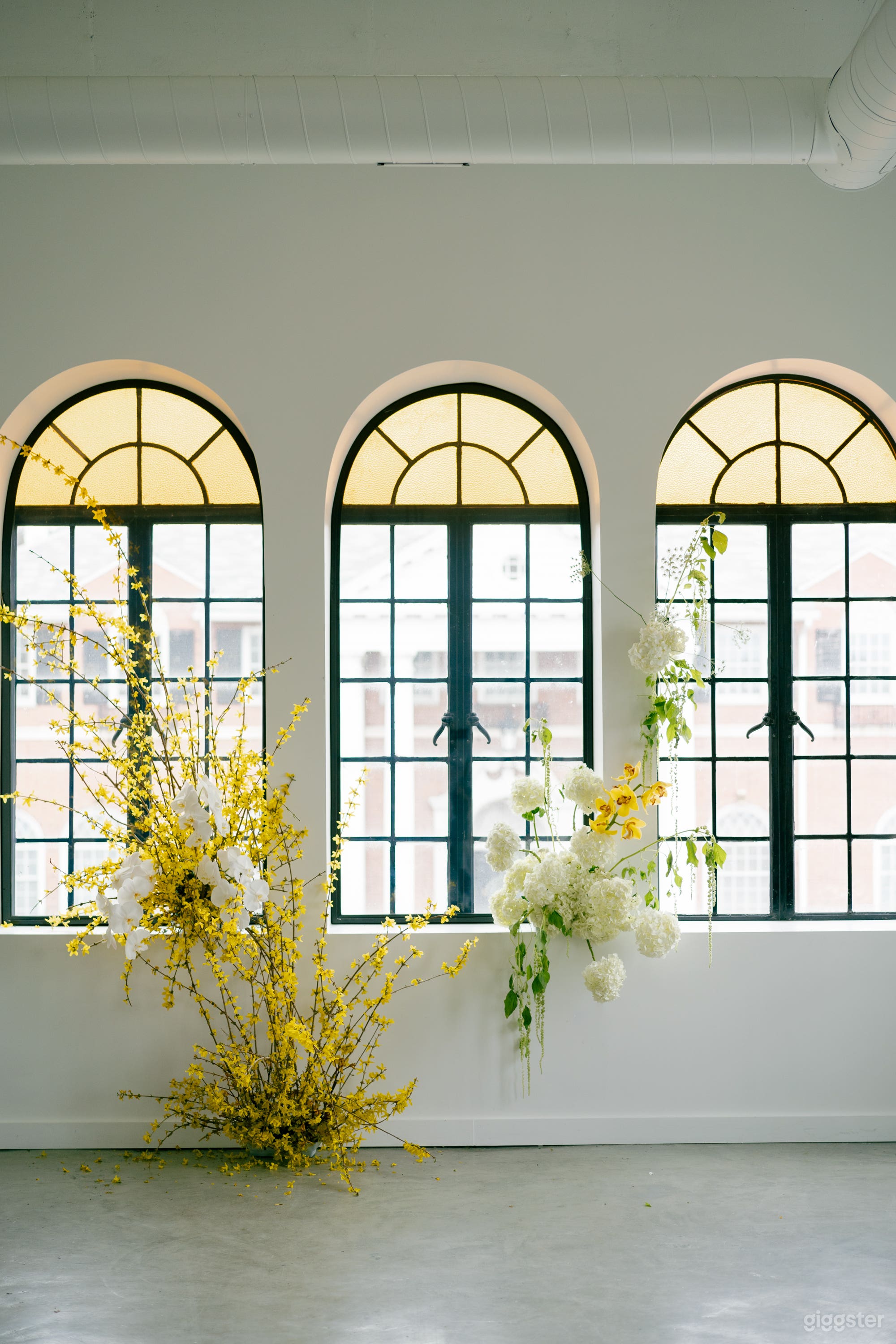 Naturally Lite Rooftop Loft Space Photo 3