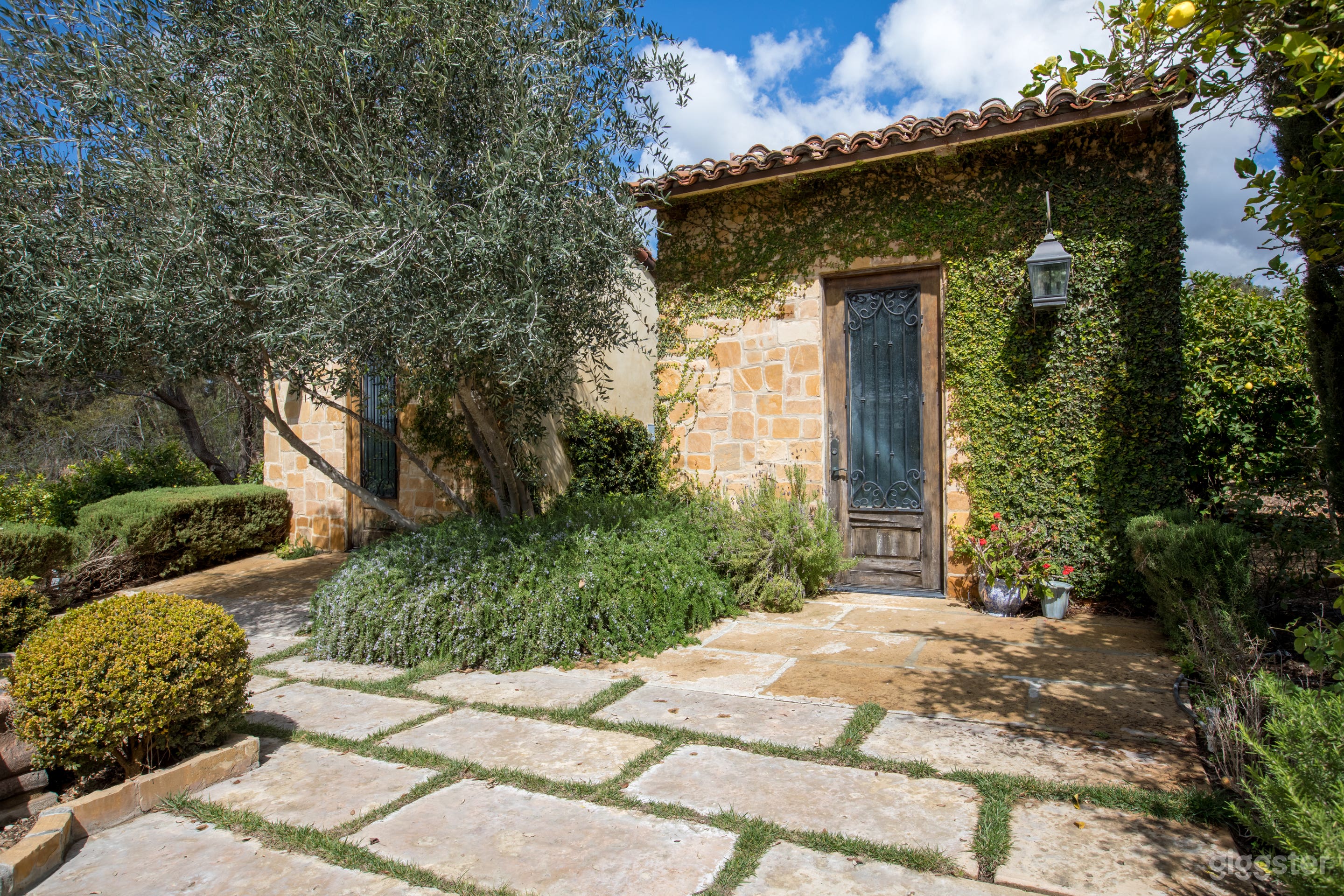 The Tuscan Sun Photo 4