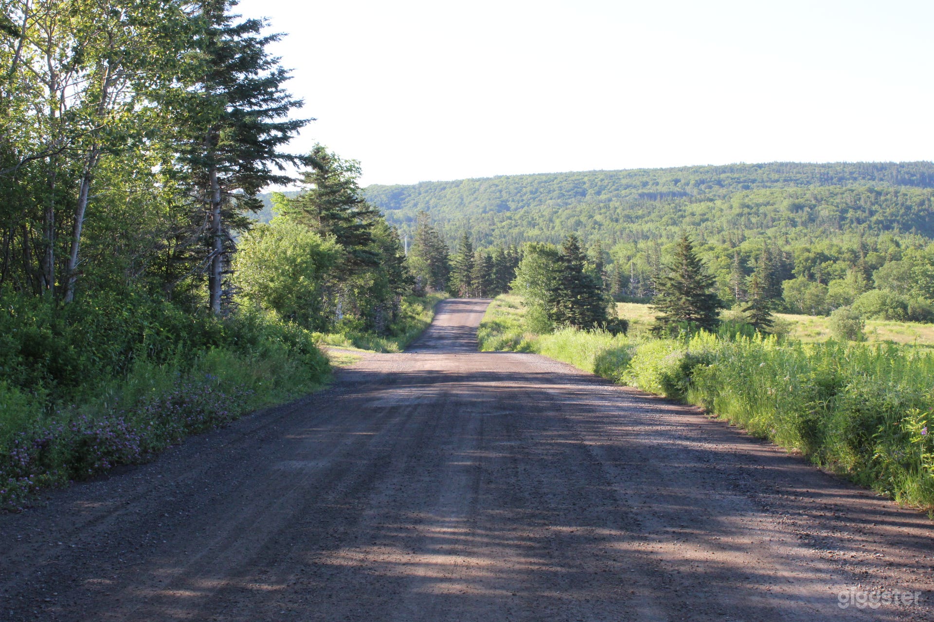 Country Meadow Photo 2