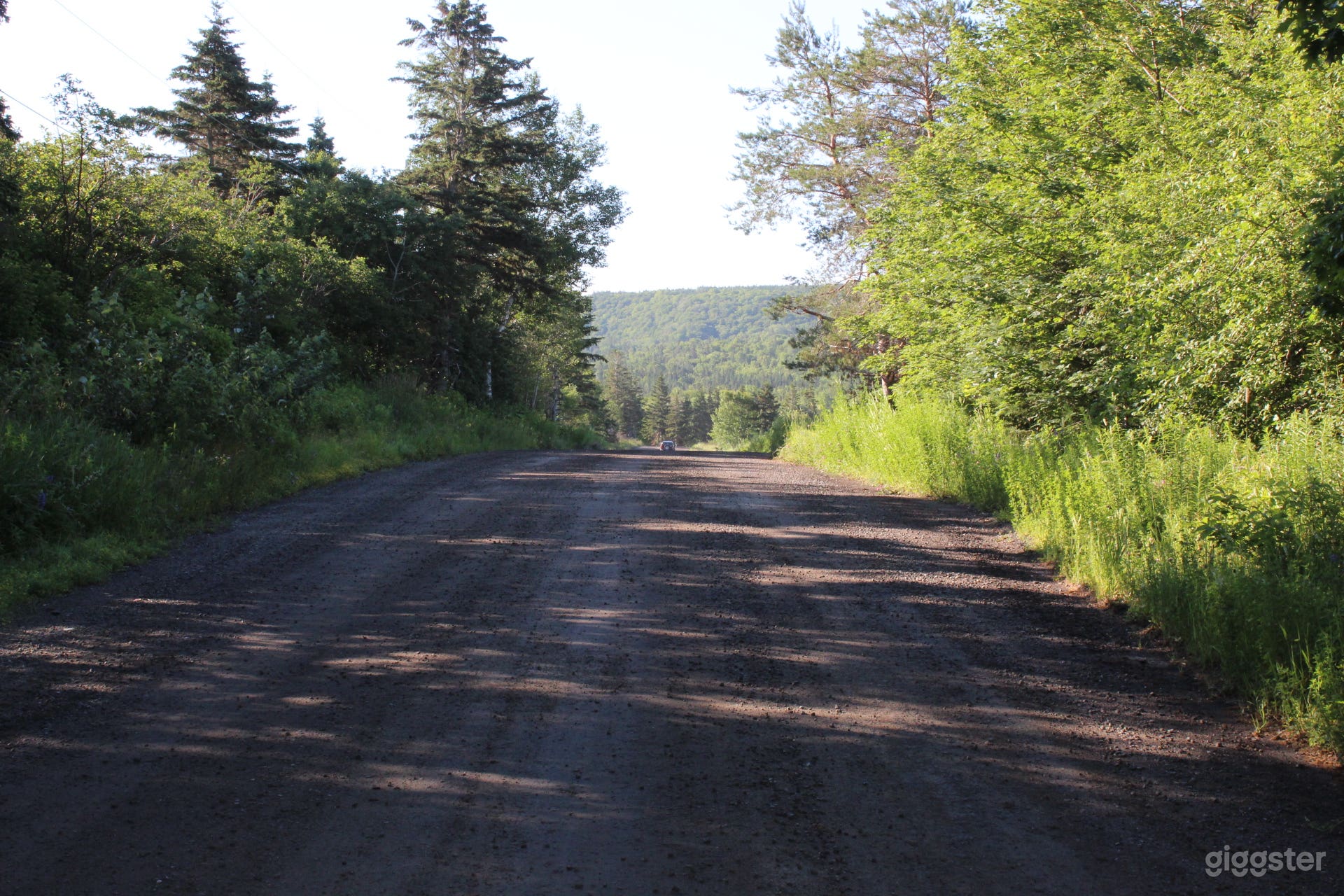 Country Meadow Photo 1