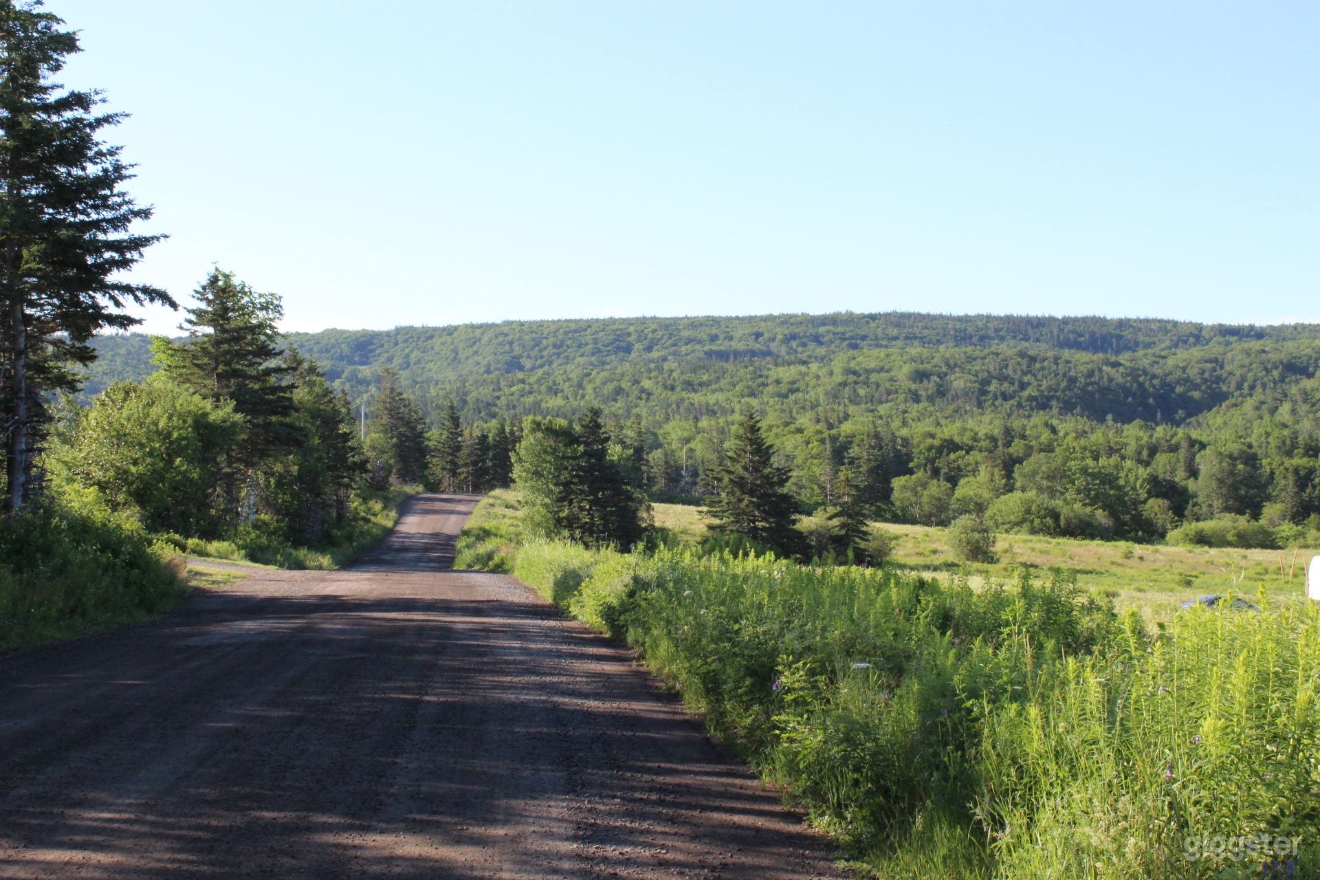Country Meadow Photo 3