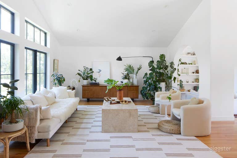  Living Room - high ceilings, well lit all day, front of house.  